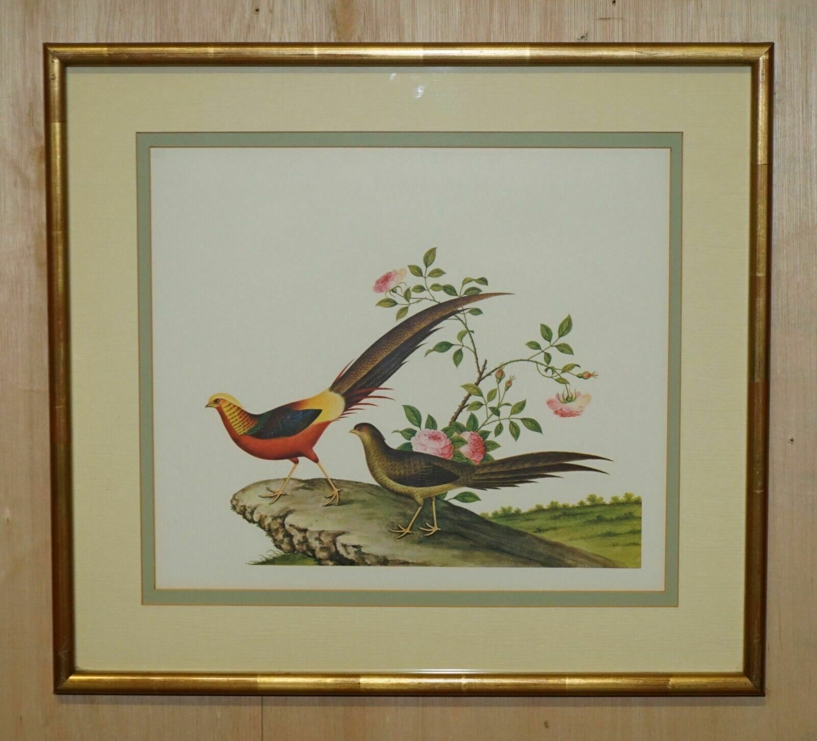 Five Chinese Ch'ien Lung Period 1736 1796 Watercolour Bird Piantings Framed photo furniture