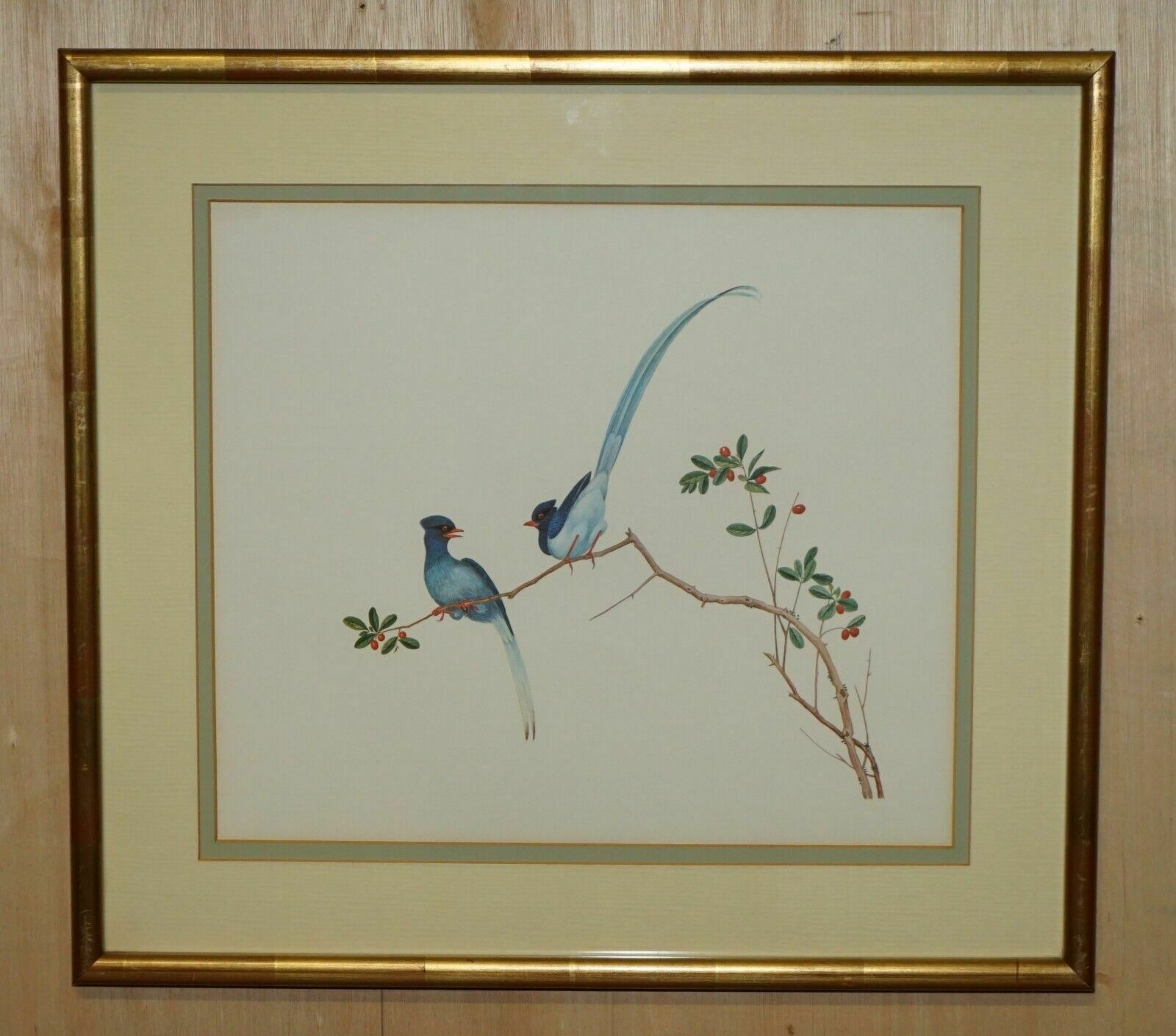 Five Chinese Ch'ien Lung Period 1736 1796 Watercolour Bird Piantings Framed photo vintage