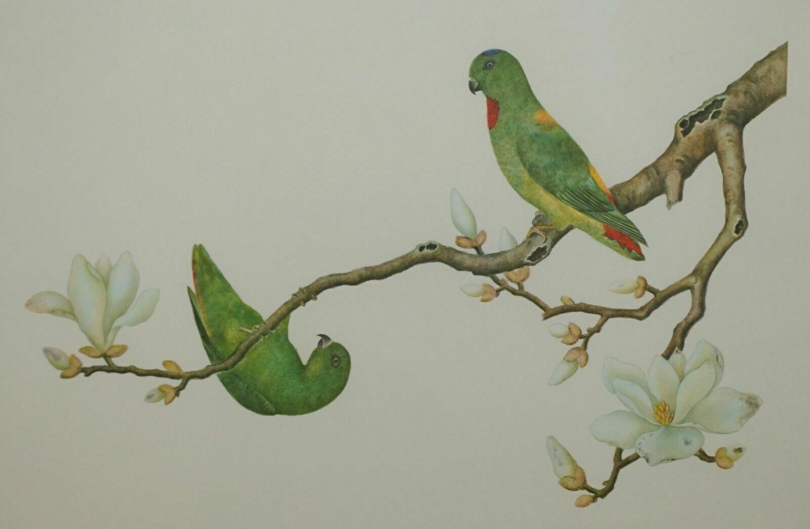 photo vintage Five Chinese Ch'ien Lung Period 1736 1796 Watercolour Bird Piantings Framed