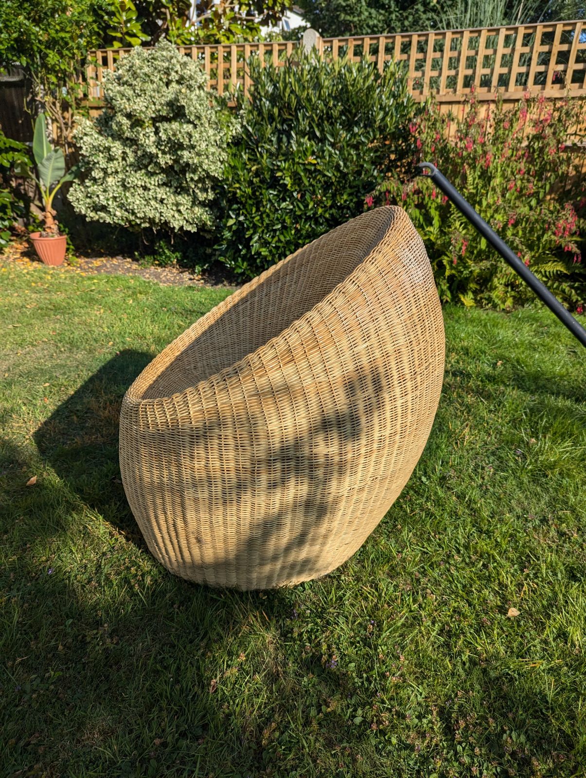 Rattan Egg Chair