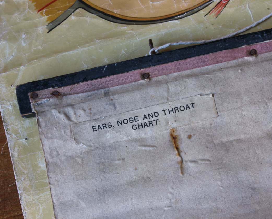 1940 Ears Nose Throat Human Anatomy St John Ambulance Wall Chart Poster. photo Art