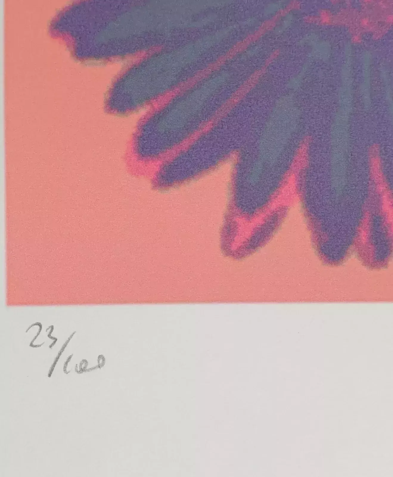 Andy Warhol, Flowers, Plate Signed Lithograph photo furniture