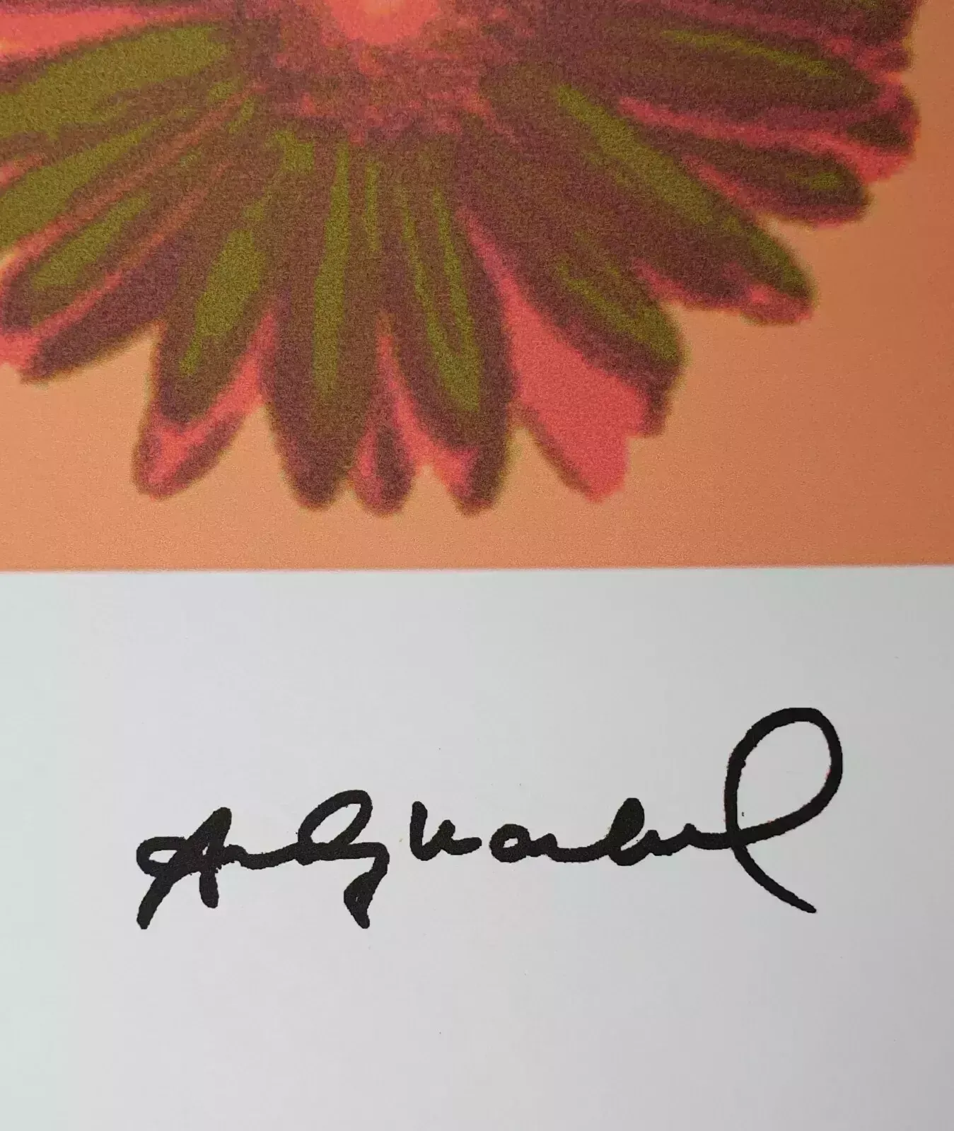 Andy Warhol, Flowers, Plate Signed Lithograph photo for sale