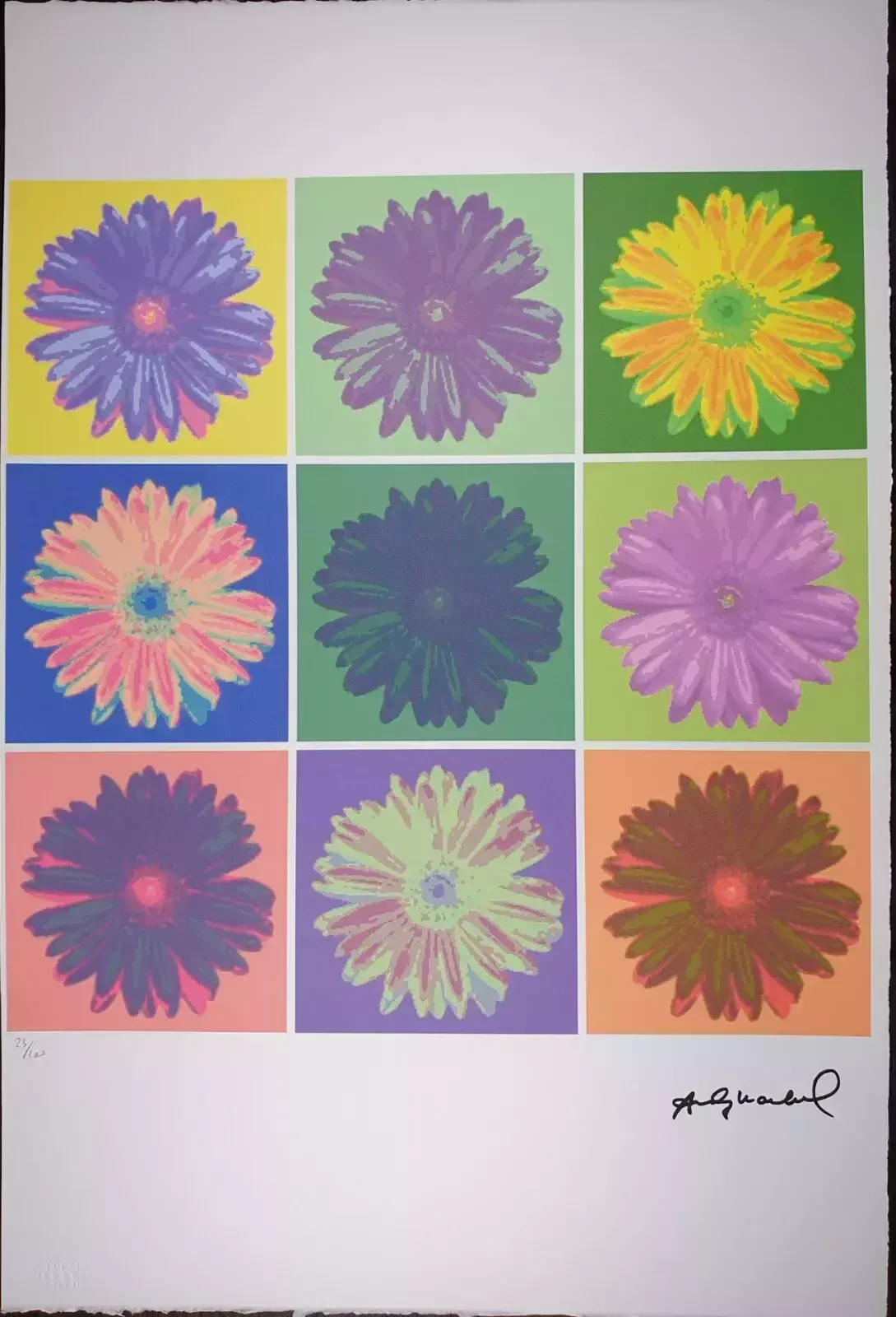 Andy Warhol, Flowers, Plate Signed Lithograph photo Art