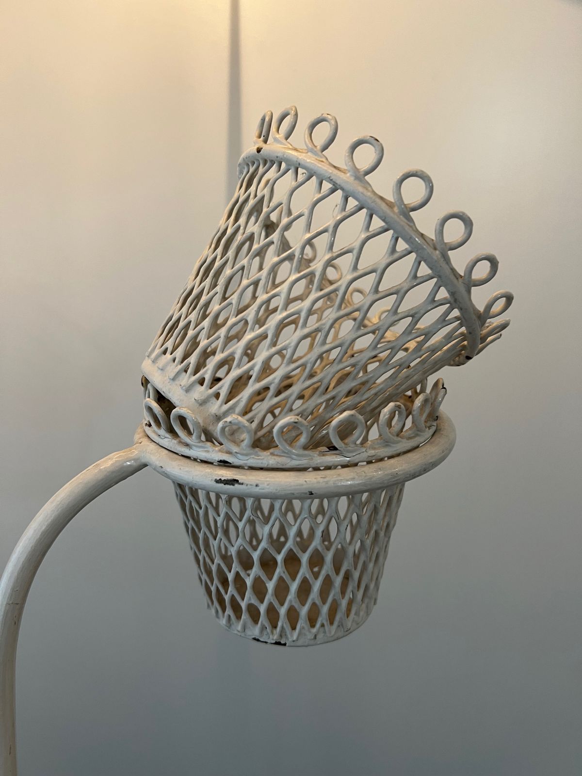 photo for sale Floor Lamp Plant Holder Cap D'ail Collection By Mathieu Matégot