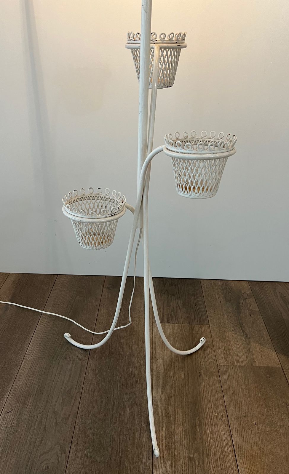 Lighting Floor Lamp Plant Holder Cap D'ail Collection By Mathieu Matégot photo