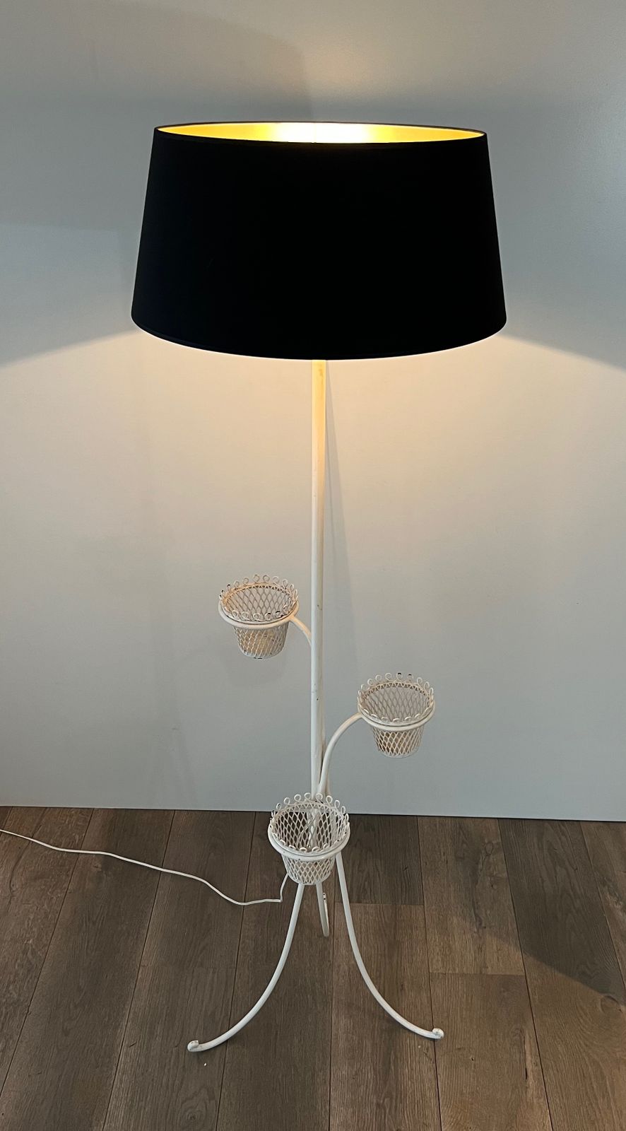 2850.0 Floor Lamp Plant Holder Cap D'ail Collection By Mathieu Matégot photo