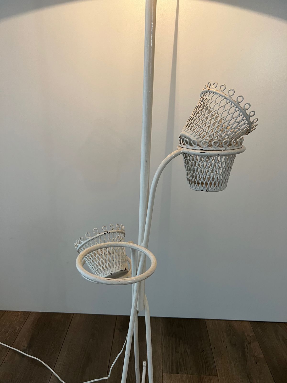 photo vintage Floor Lamp Plant Holder Cap D'ail Collection By Mathieu Matégot