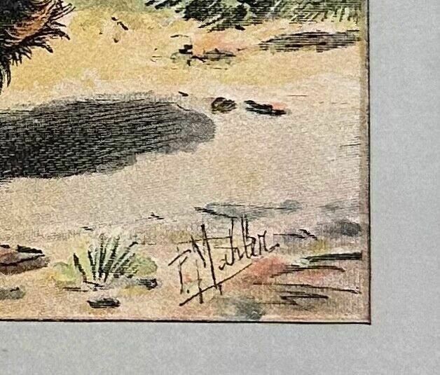 Antique 1907 Lithograph Colour Print P. Mahler Dog Breed Long Haired Dachshund photo for sale