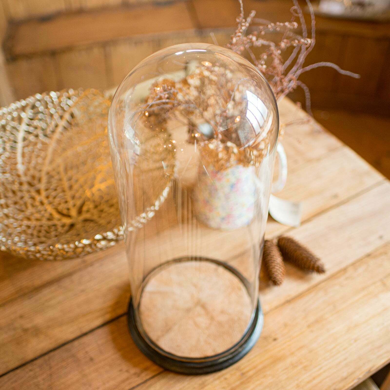 Tall Victorian Antique Taxidermy Specimen Dome, English Glass Display Case, 1870 photo vintage