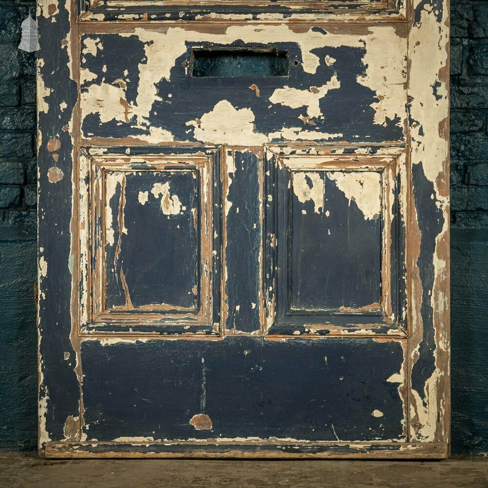 Oak Paneled Door, 5 Moulded Panel photo Home Fixtures