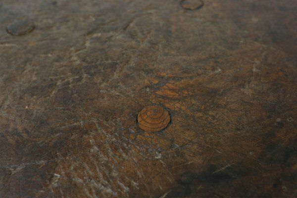 French Brutalist Oak Tripot Stool, 1850 photo vintage