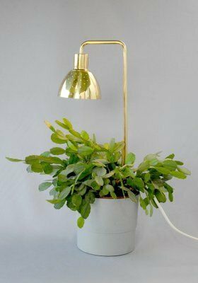 Model G98 Flower Lamp By Hans Agne Jakobsson For Haj Markaryd, 1960s photo furniture