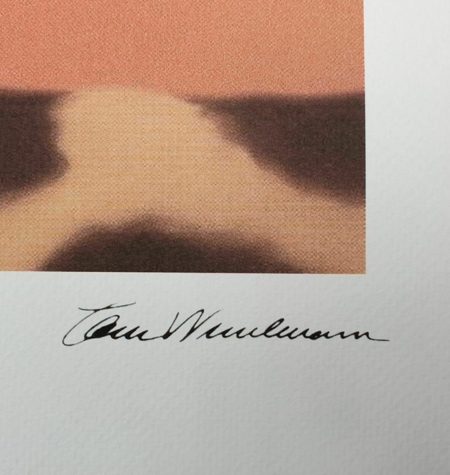 Tom Wesselmann, Bedroom Painting #4, Plate Signed Lithograph photo for sale
