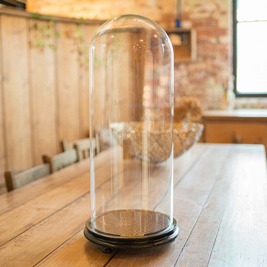 Antique Large Display Dome, English, Taxidermy, Specimen Showcase, Victorian photo for sale