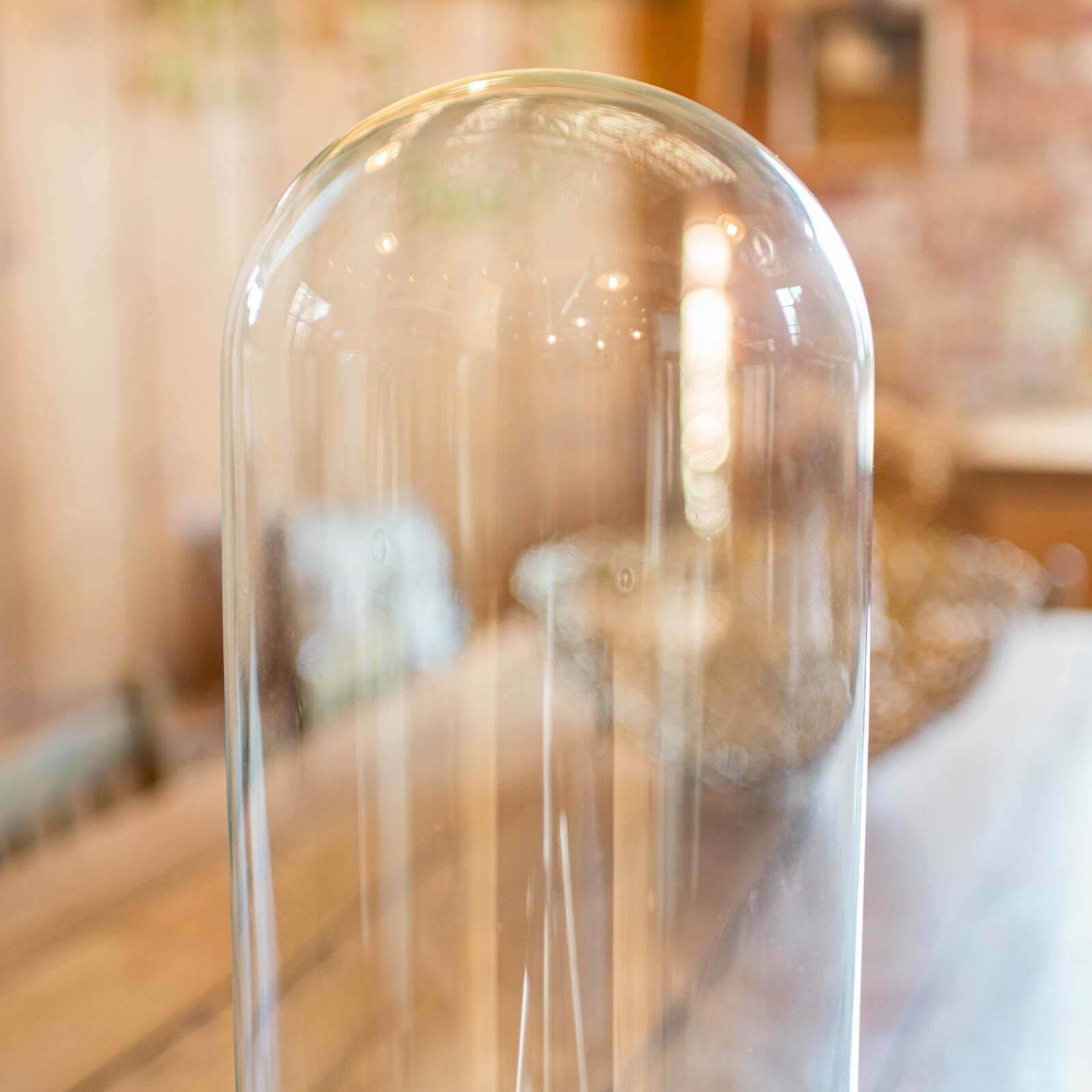 Antique Taxidermy Specimen Dome, English, Glass, Tall Showcase, Victorian, 1900 photo Home Decor