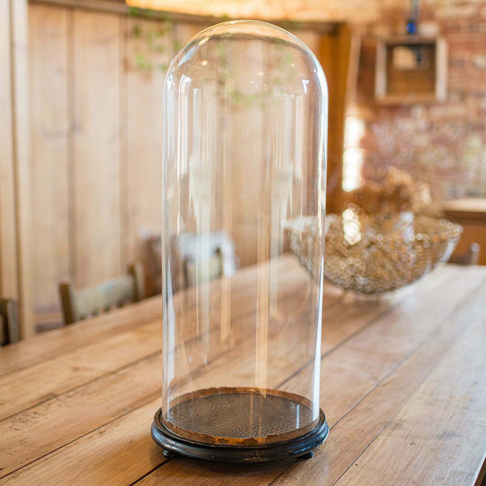Tall Victorian Antique Specimen Showcase, English Glass, Taxidermy, Display Dome photo for sale