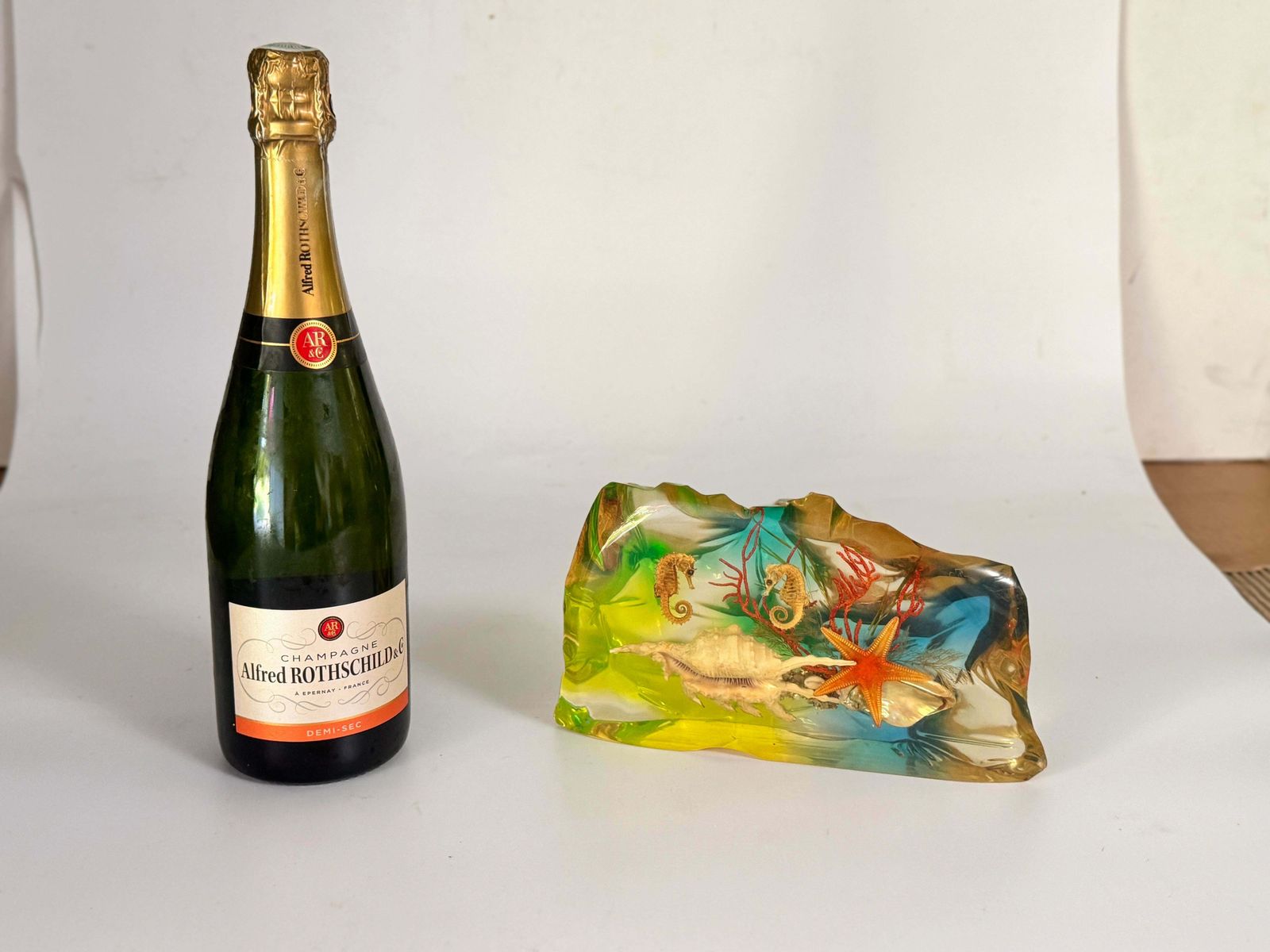 French, 1970s, Lucite Resin Cube Sculpture With With Seashells Andhyphocampi photo furniture
