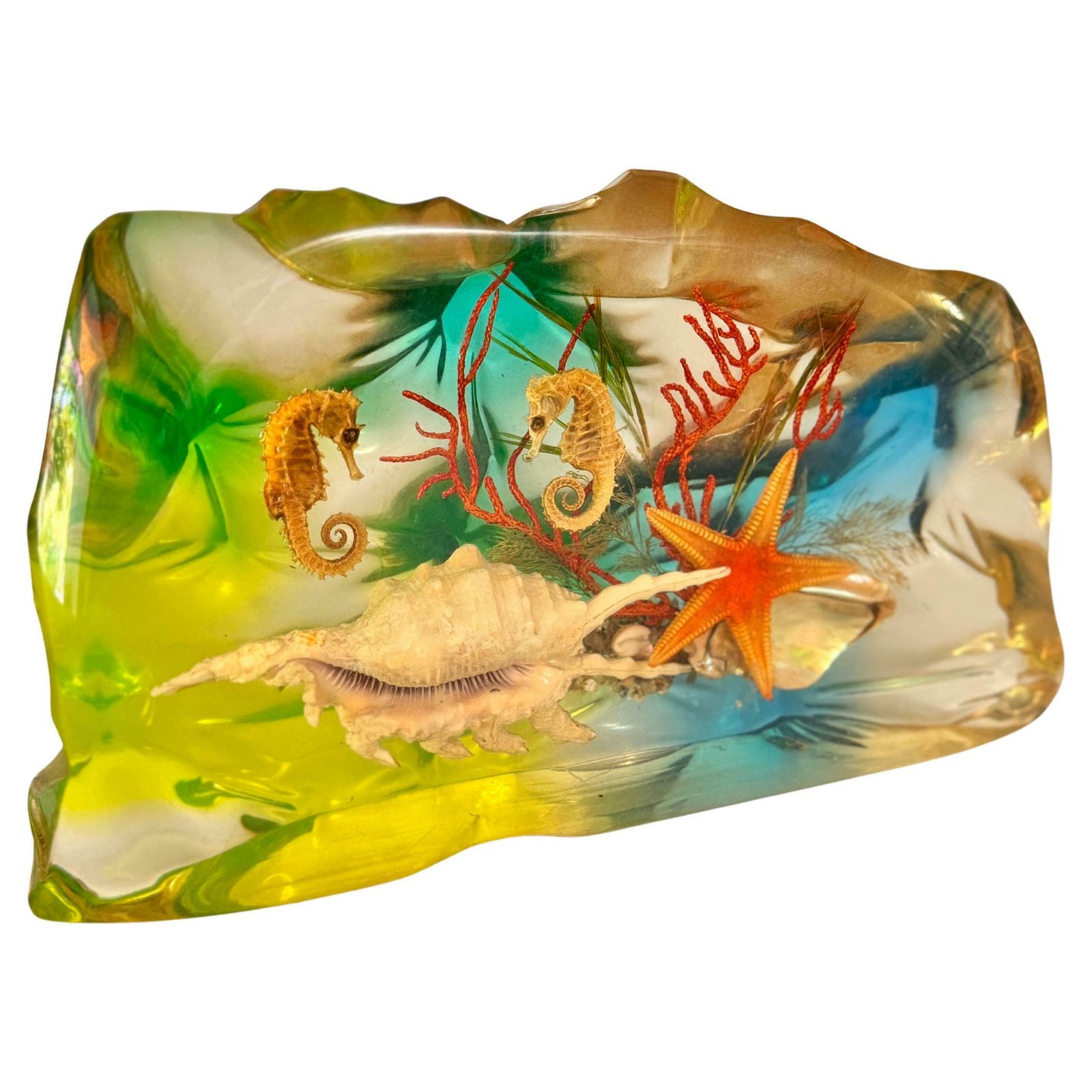 French, 1970s, Lucite Resin Cube Sculpture With With Seashells Andhyphocampi photo for sale