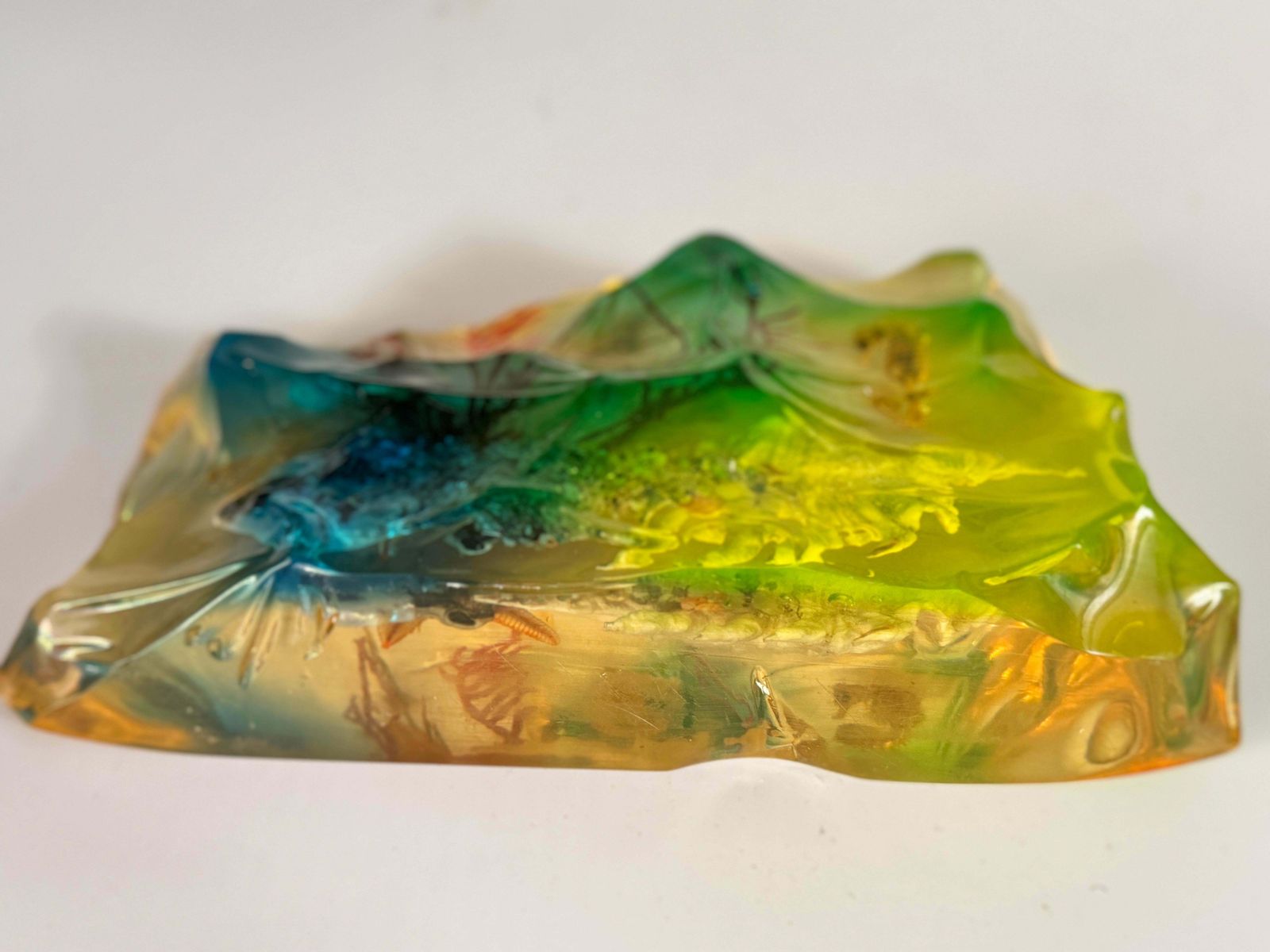 French, 1970s, Lucite Resin Cube Sculpture With With Seashells Andhyphocampi photo 466.0