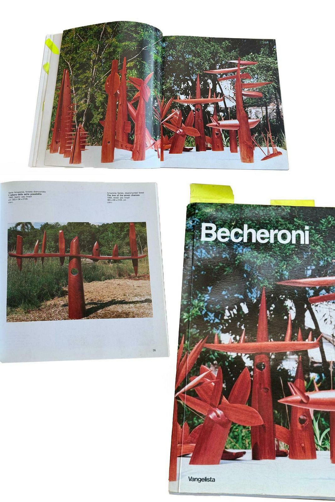 The Tree Of Seven Possibilities From Elvio Becheroni's Amazonia Series photo buy