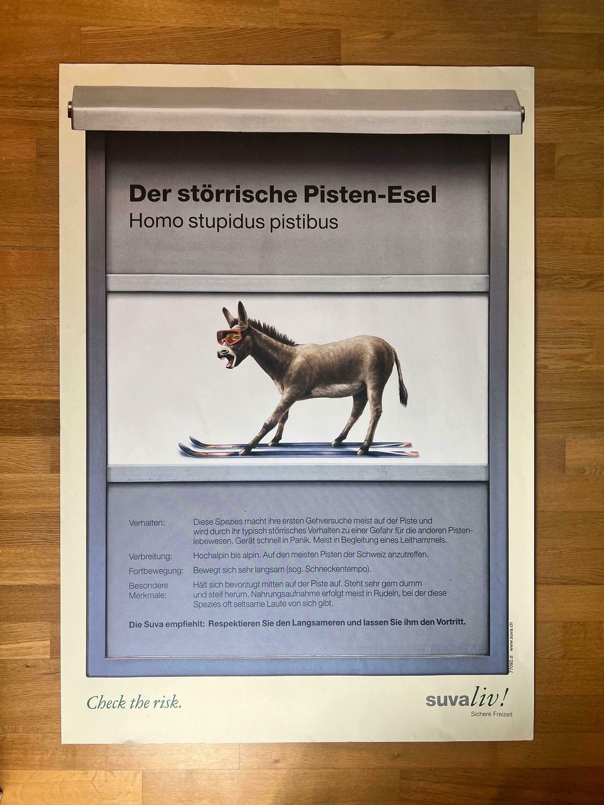 Original Swiss Vintage Poster 1999, Suvaliv Insurance Company Accident Prevention Poster, Swiss Ski Poster, 90s Art Poster, Swiss Donkey Art photo for sale