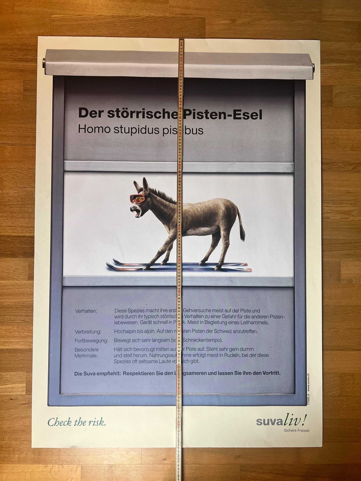 Original Swiss Vintage Poster 1999, Suvaliv Insurance Company Accident Prevention Poster, Swiss Ski Poster, 90s Art Poster, Swiss Donkey Art photo vinterior