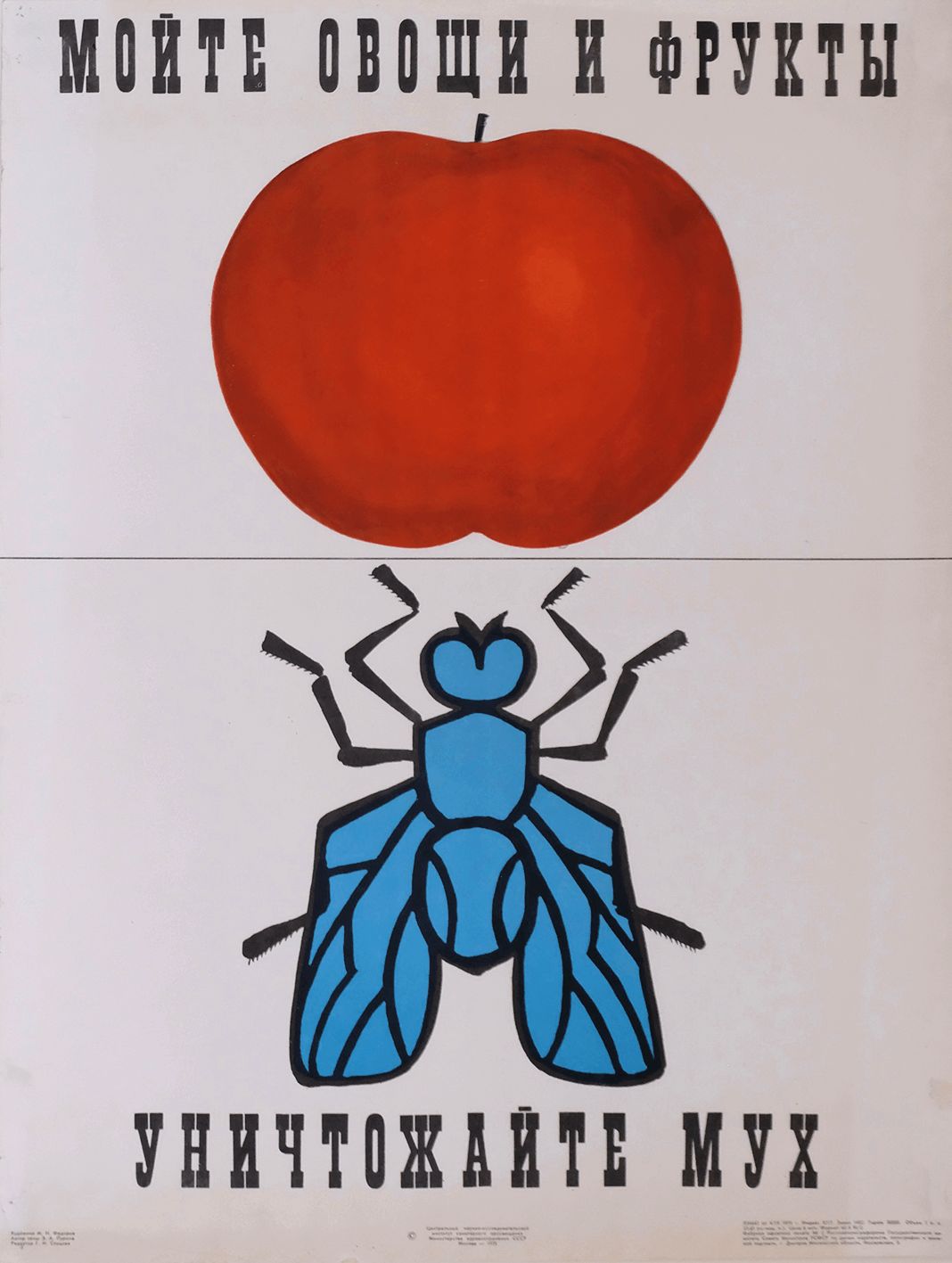 Wash Fruit & Veggies To Kill Flies   Original Soviet Lithuanian Poster | 1975