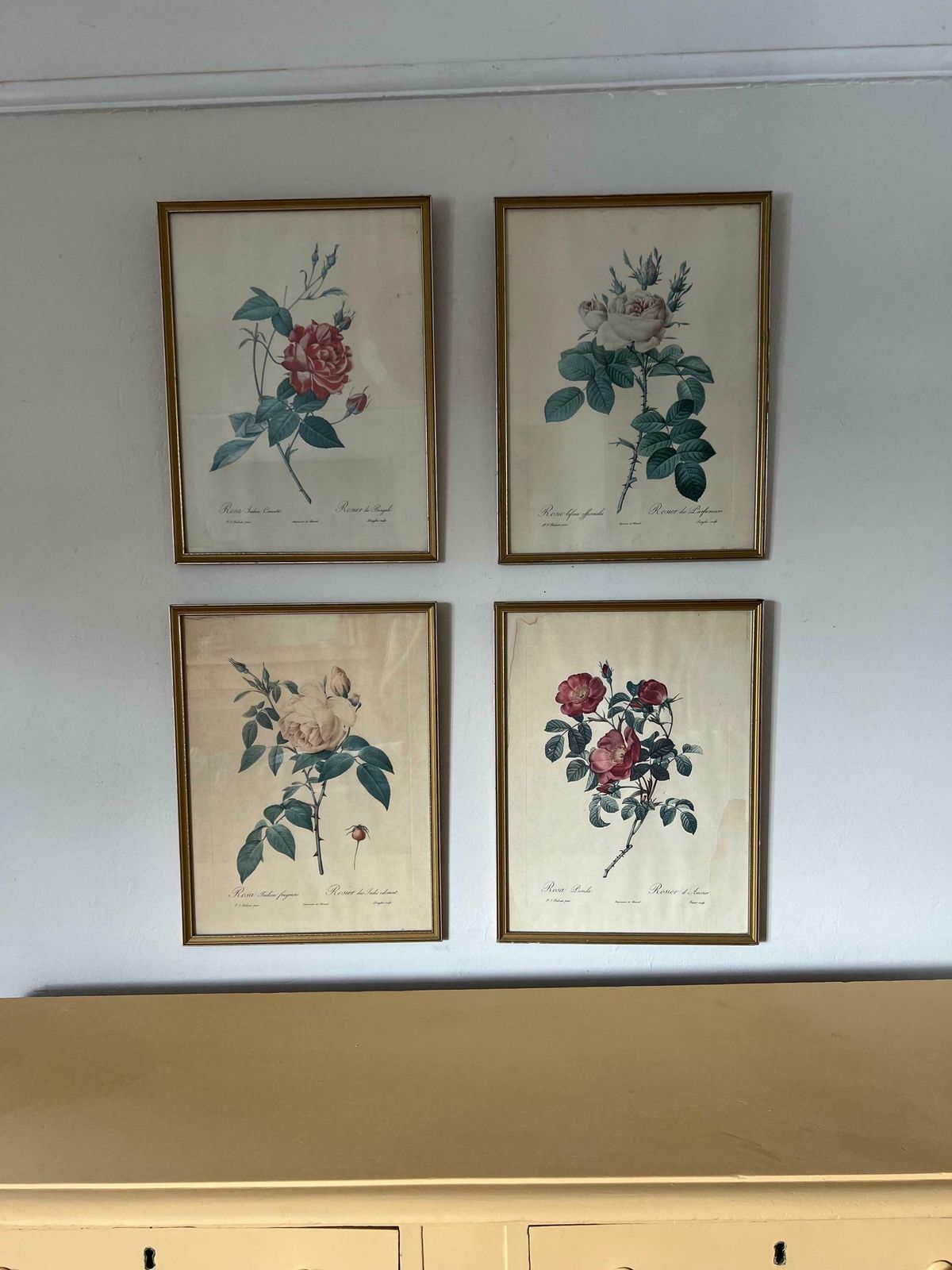 photo furniture Vintage Set Of Botanical Painting