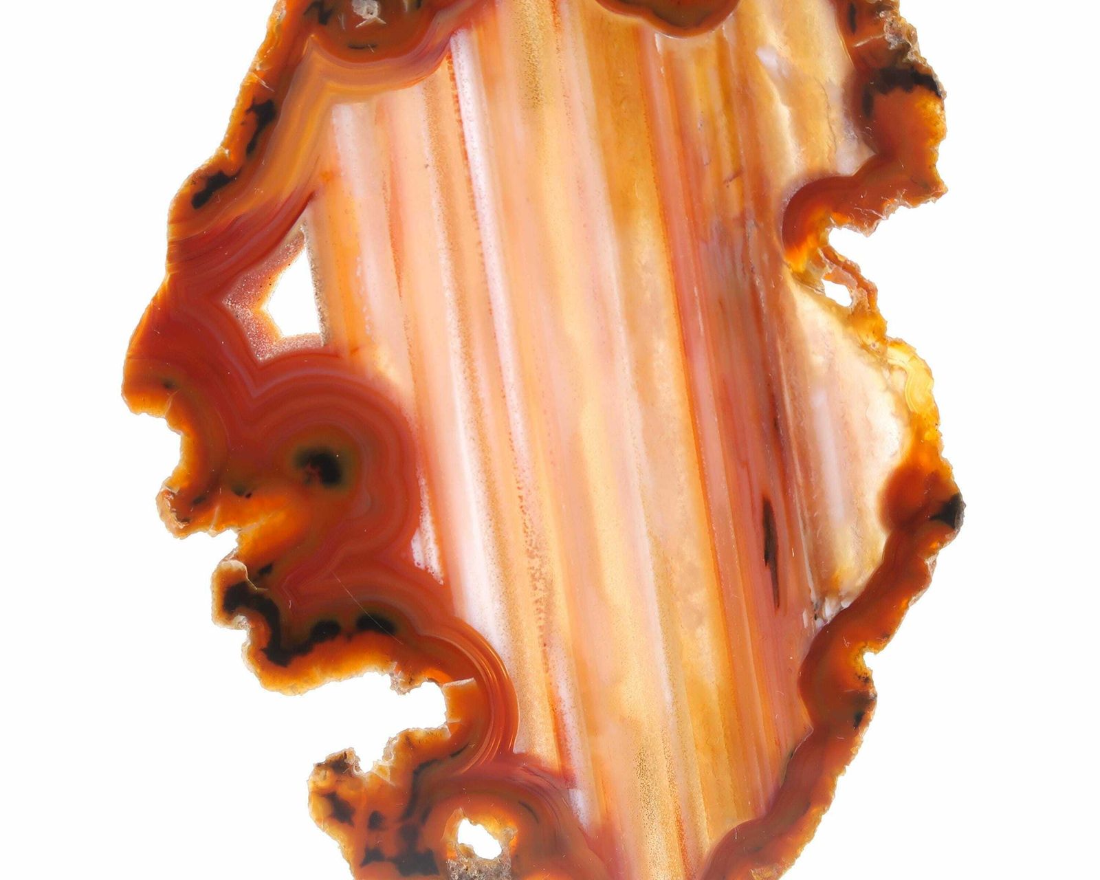Bruine Agaatschijf, Lucite En Messing Voet, Jaren 1970 / Cabinet Of Curiosities, Boho Chic, Bohemian, Folk, Mineraal, Steen, Natuur photo Kunst