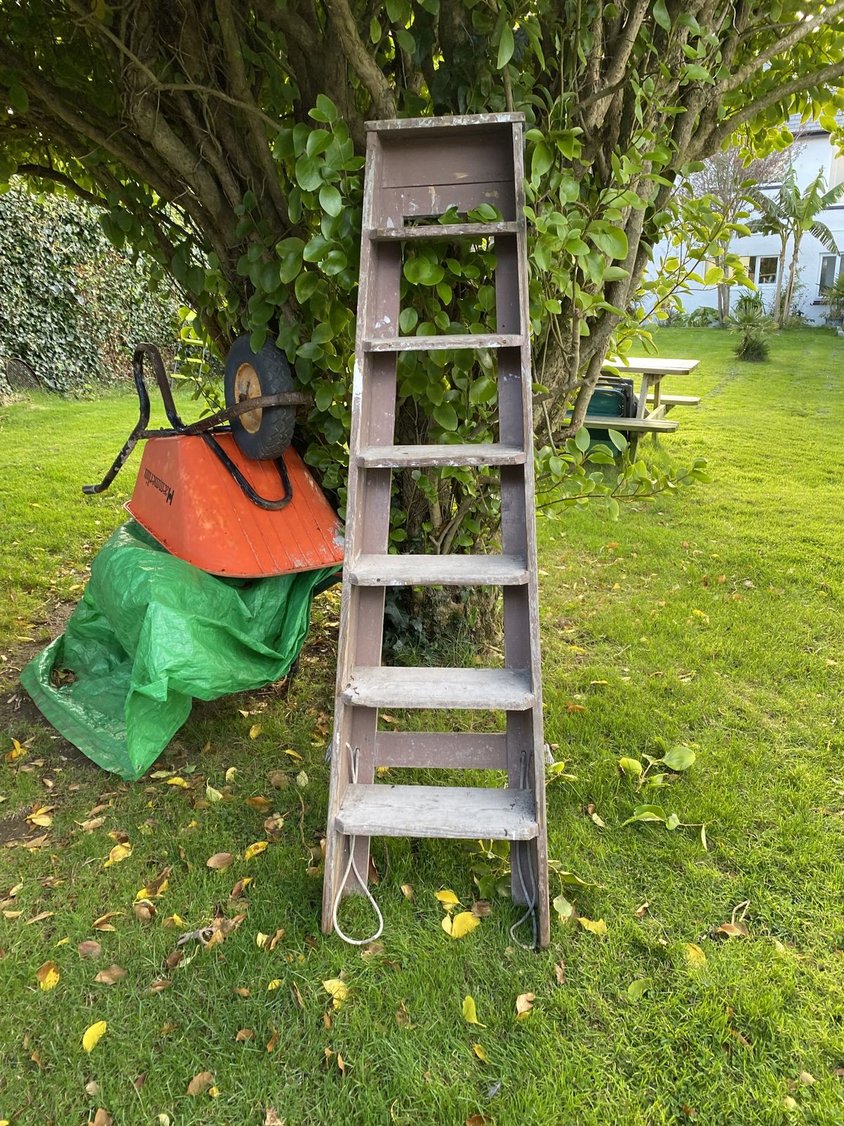 Large Old Wooden Ladders photo for sale