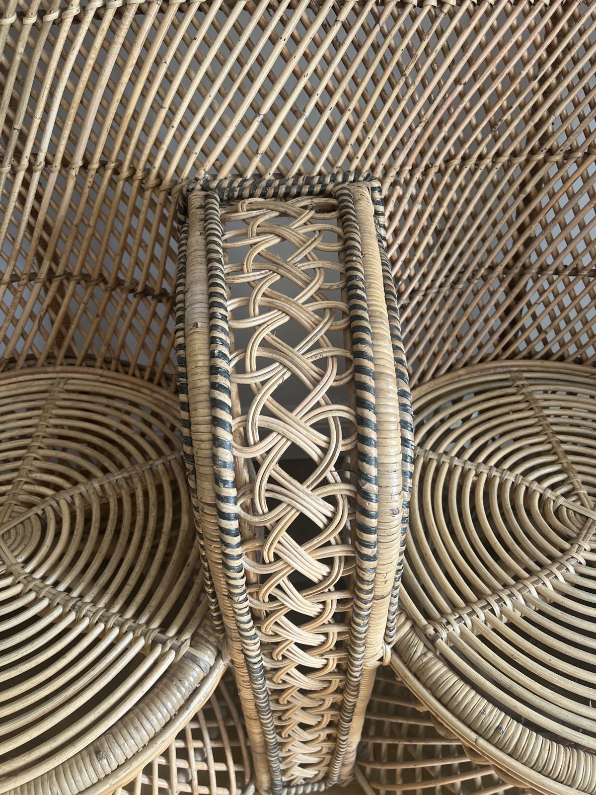 Rattan Double Peacock Chair photo buy