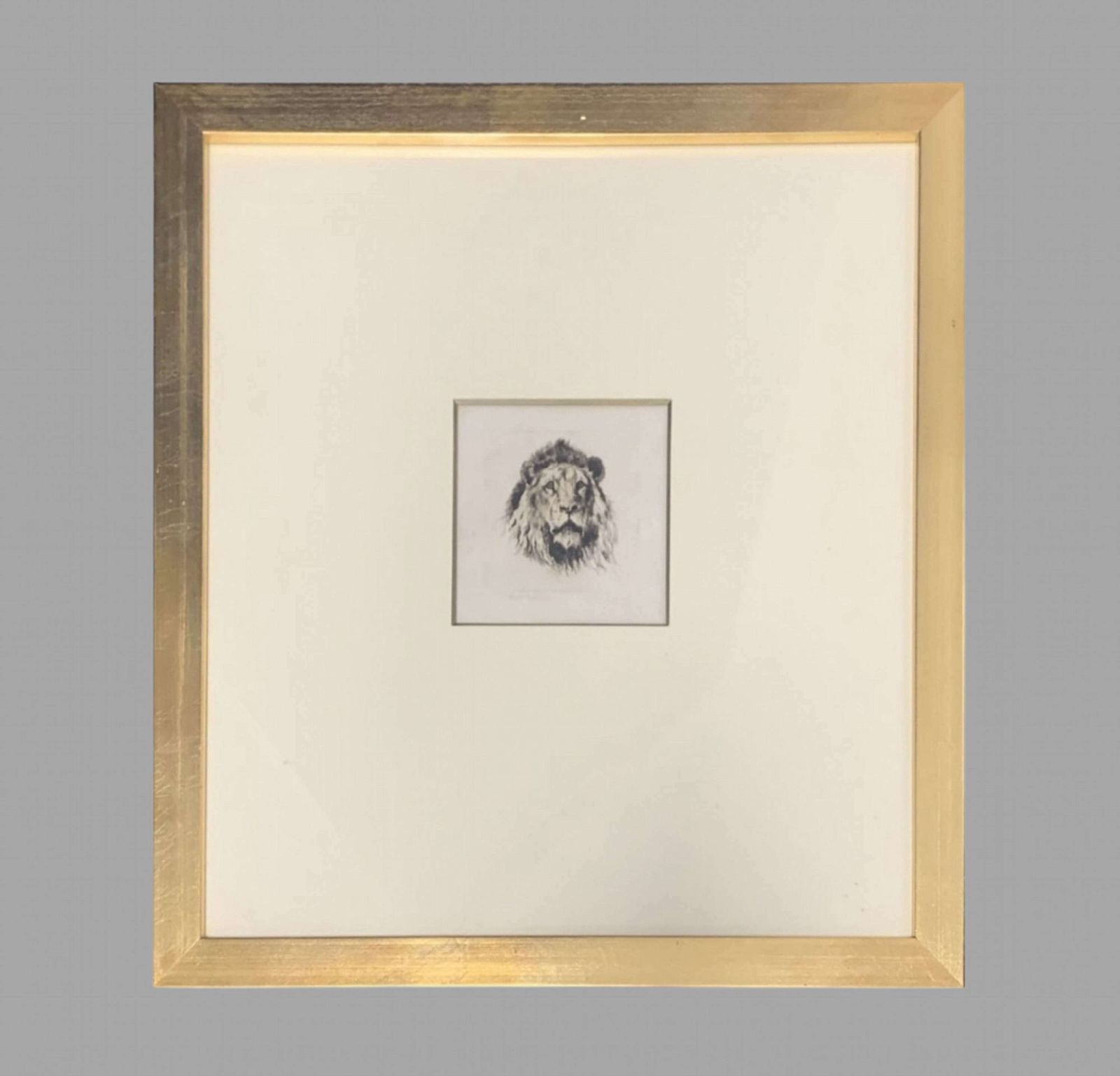 Herbert Dicksee Pair Rare Miniature Etchings Lion And Tigress photo furniture