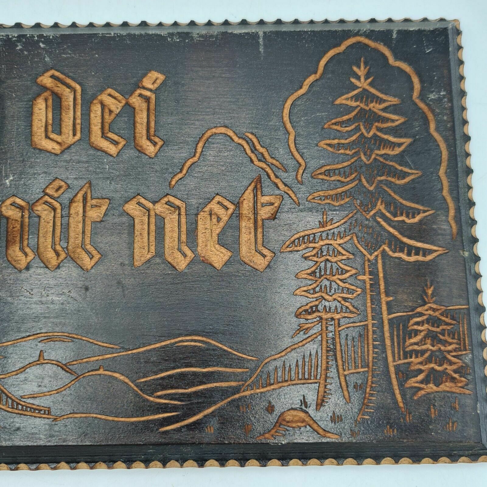 Bavarian Wood Wall Plaque Carving "Vergiß Dei Hamit Net" Alpine Folk Art 1935 photo 80.0