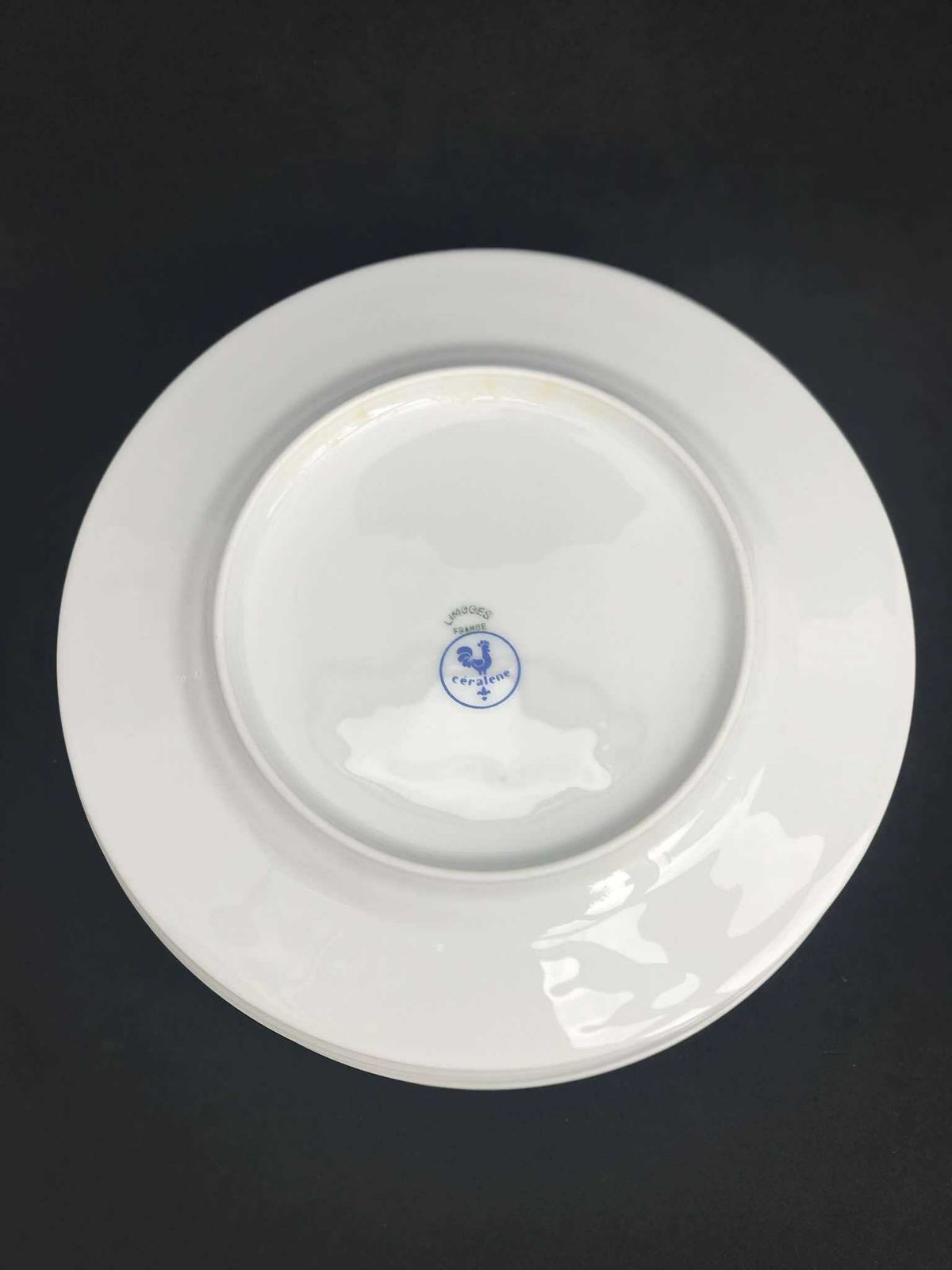 photo furniture Porcelain Limoges Set 6 Raynaud & Co Fleur De Jade Green Entremets Salad Dessert Plates Green White Leaves French Vintage Wedding Luxury