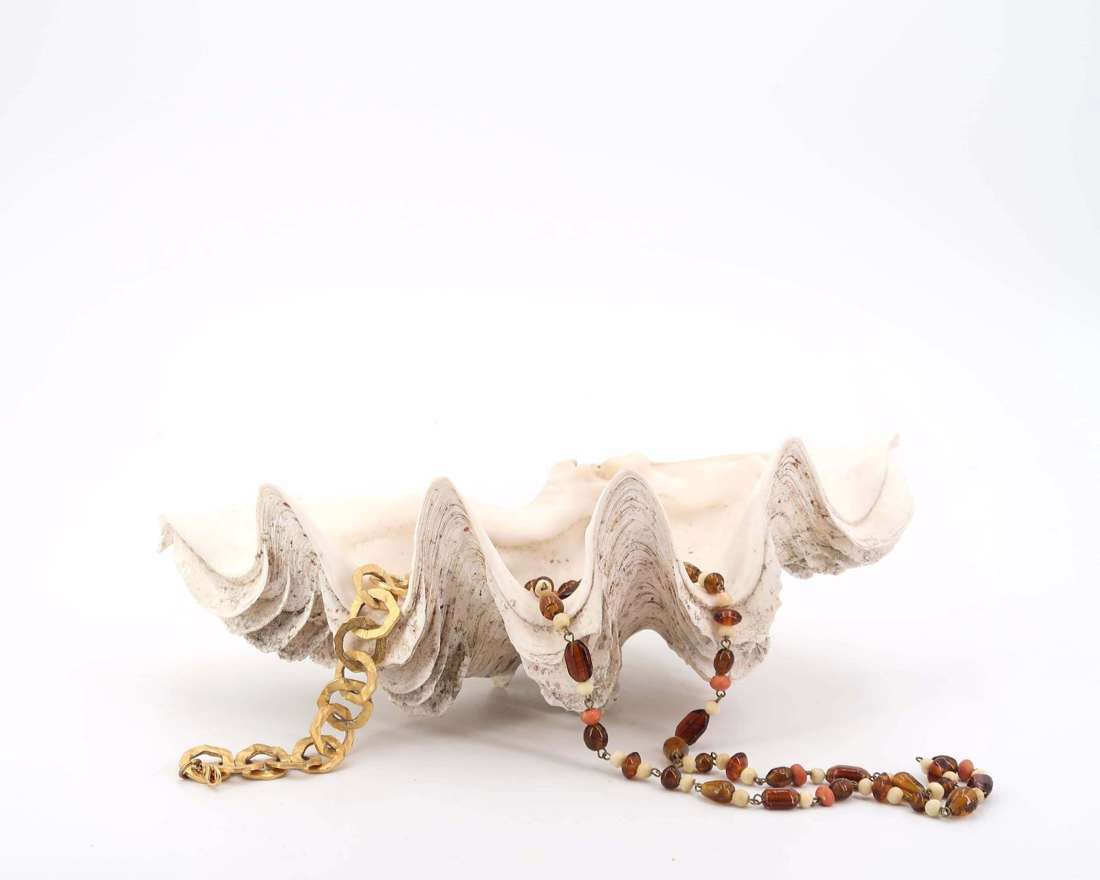 Grote Schelp, Ringenschaaltje, Tridacna Schelp Ca. Jaren 1970 / Schaal, Zeepbakje, Curiositeitenkabinet, Sieraden, Conch, Boho Chic, Folk, Badkamer photo vinterior