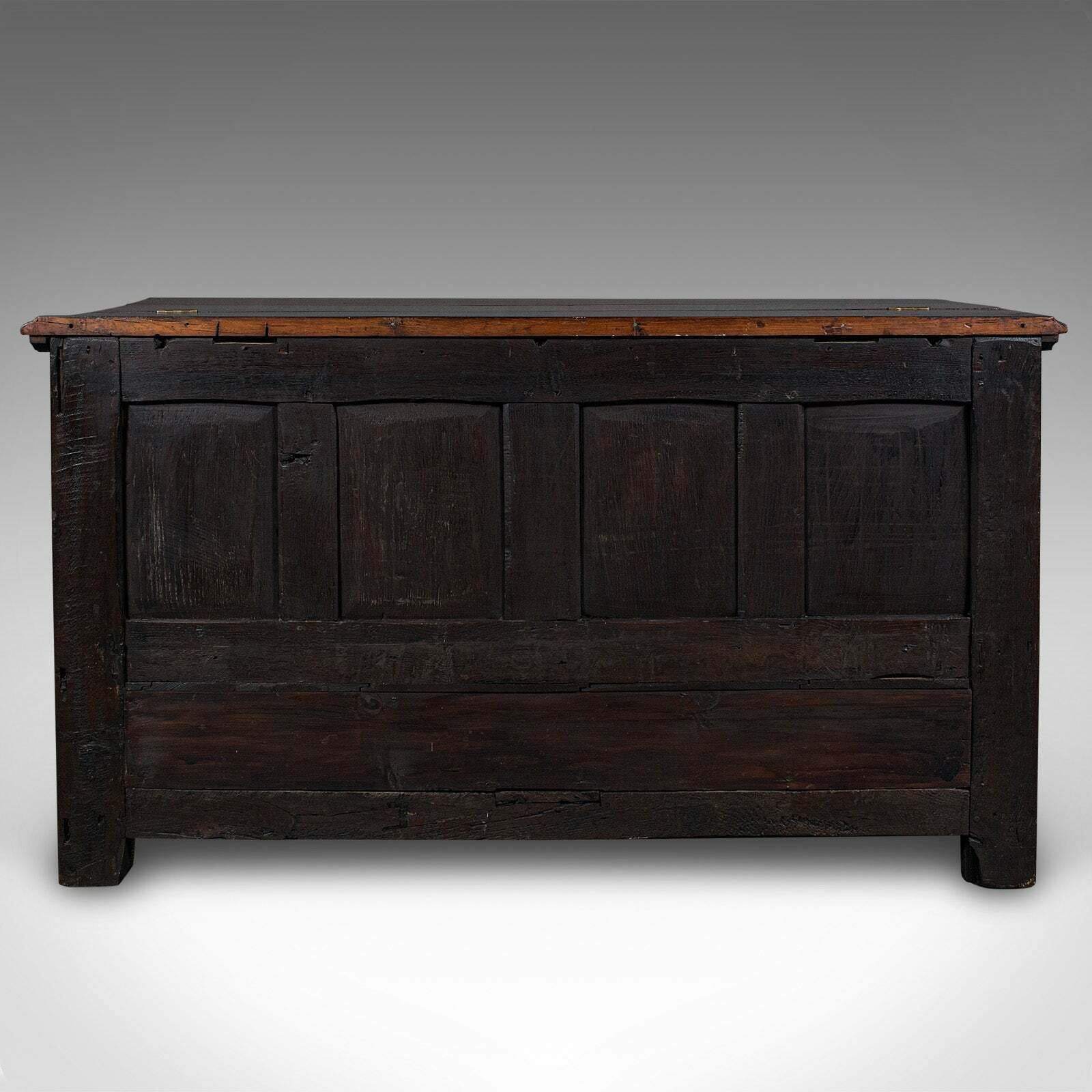 Large Antique Mule Chest, English, Carved Oak, Coffer, William III, Circa 1700 photo 3650.0