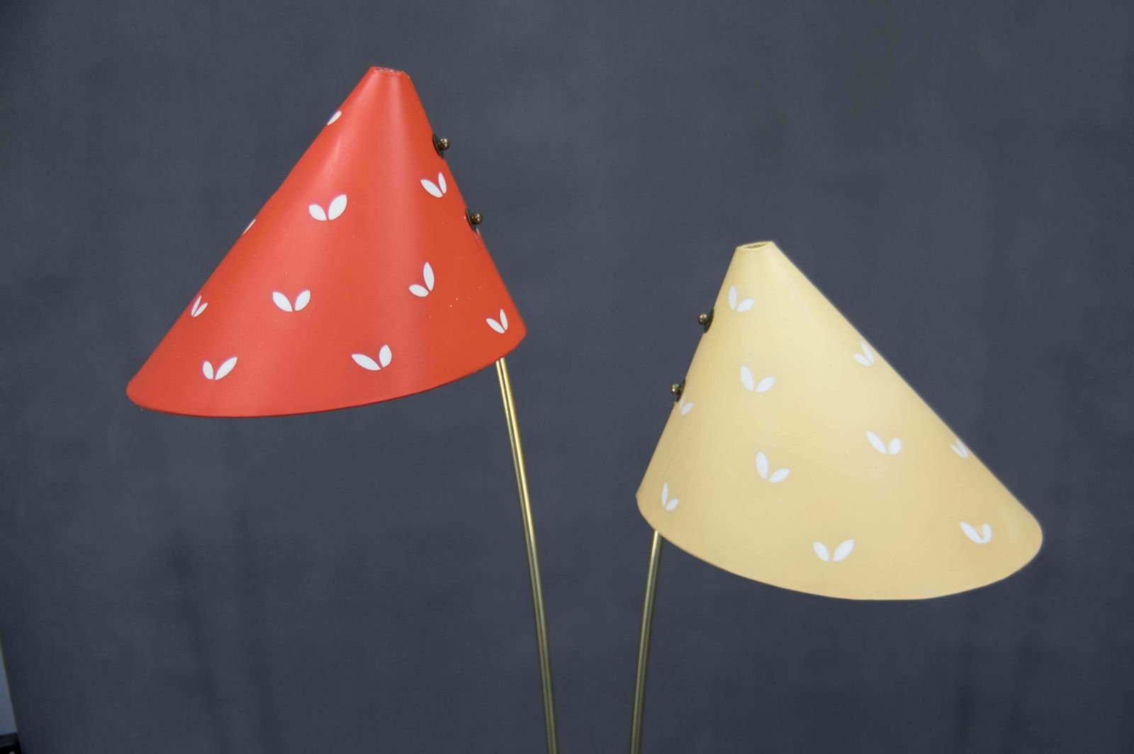 Midcentury Floor Lamp Japonka, Czechoslovakia, 1960s photo for sale