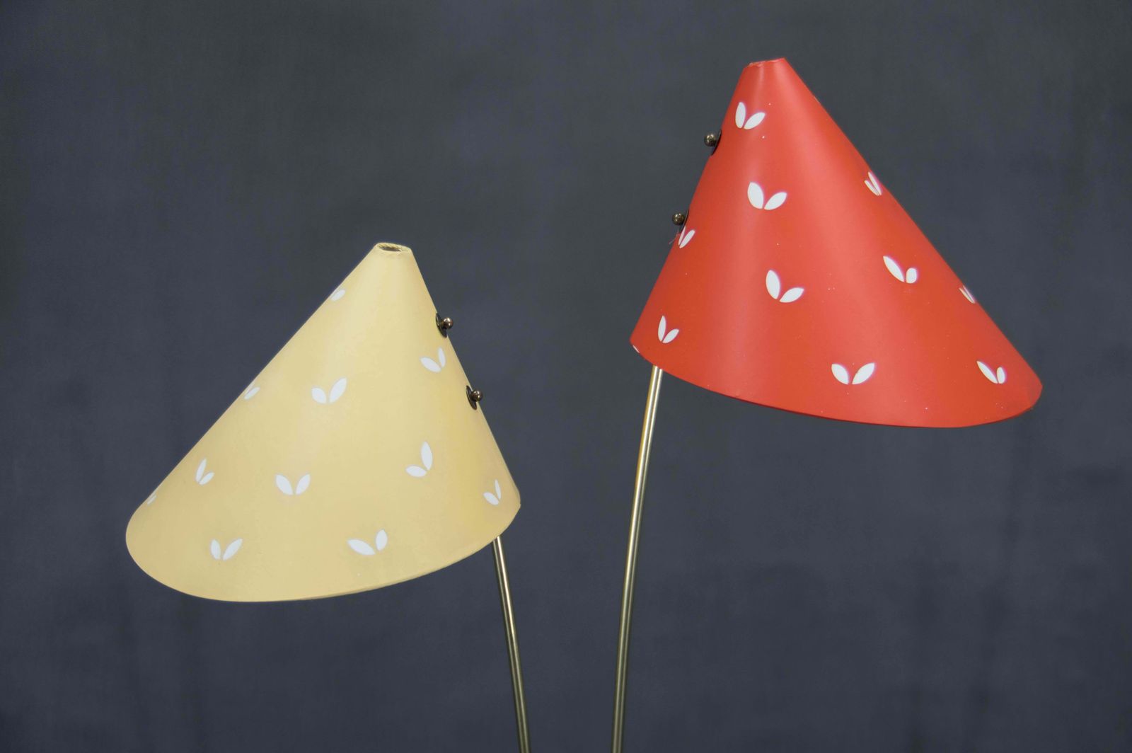 Midcentury Floor Lamp Japonka, Czechoslovakia, 1960s photo vintage
