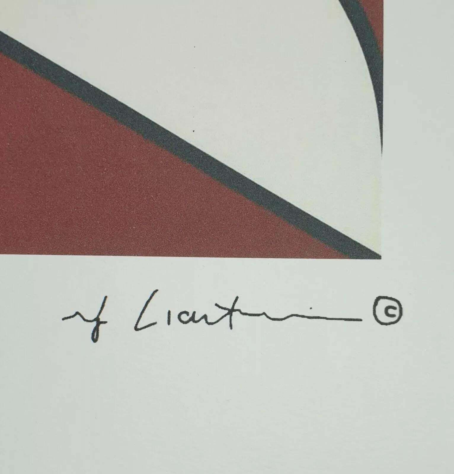 1980s Roy Lichtenstein "Salute To Aviation" Limited Edition Lithograph photo Art