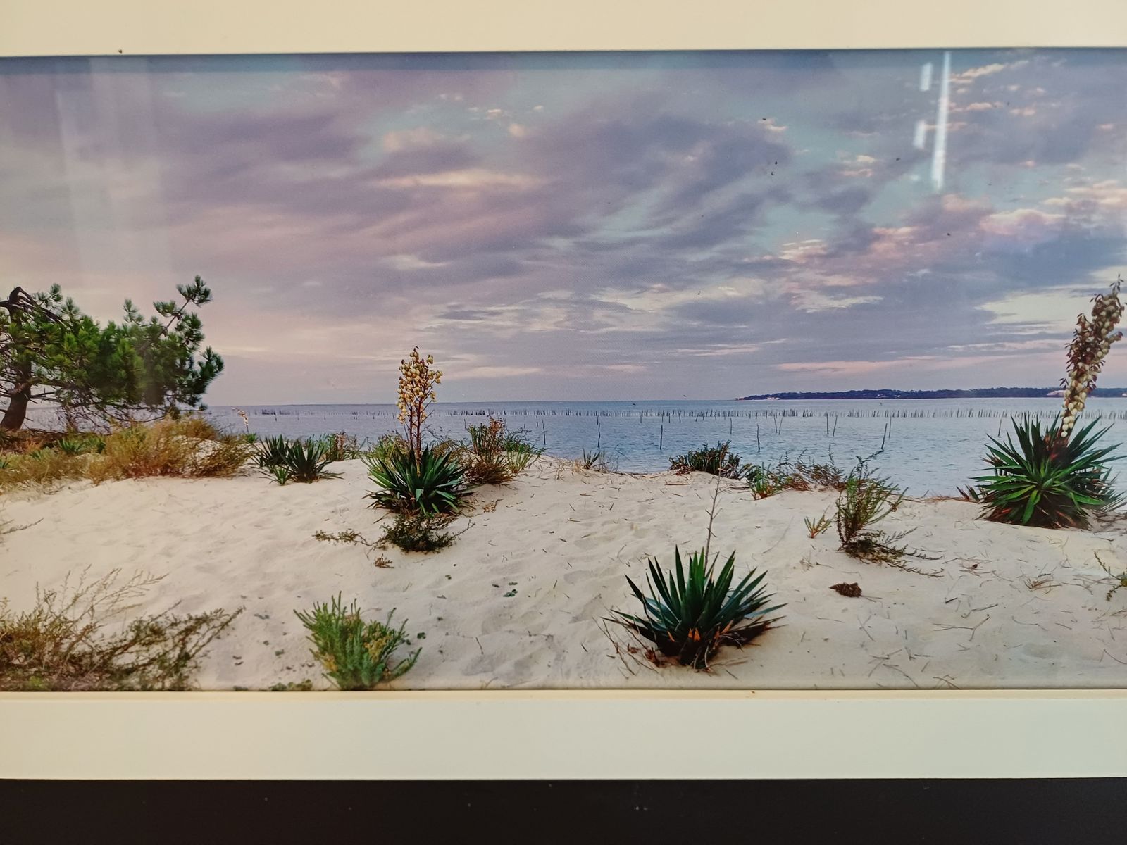 Framed Photo Of The Arcachon Basin By Jean Claude Monin photo Art