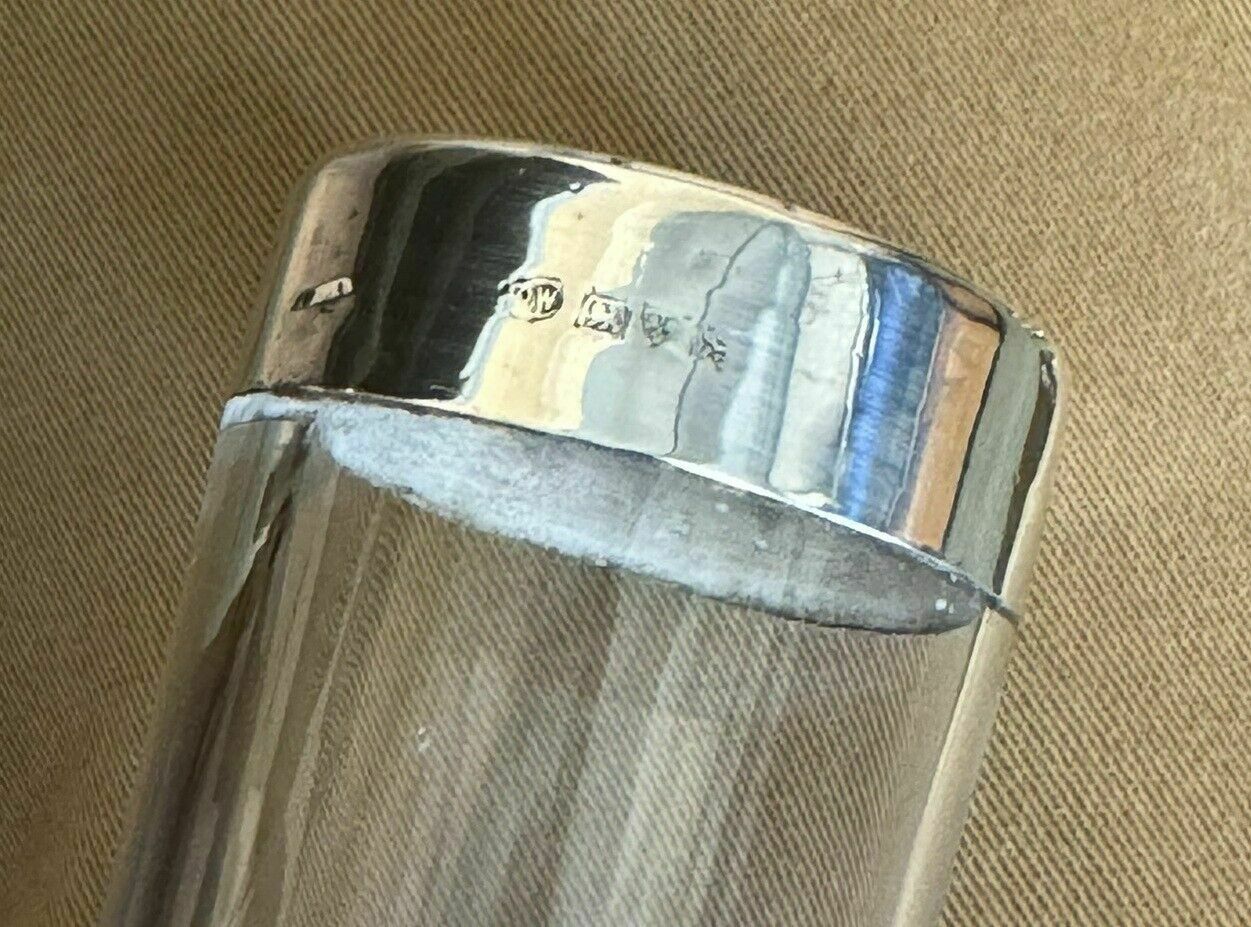 photo furniture Stunning Antique 1908 Cut Glass Crystal Sterling Silver Plant Vase Must See
