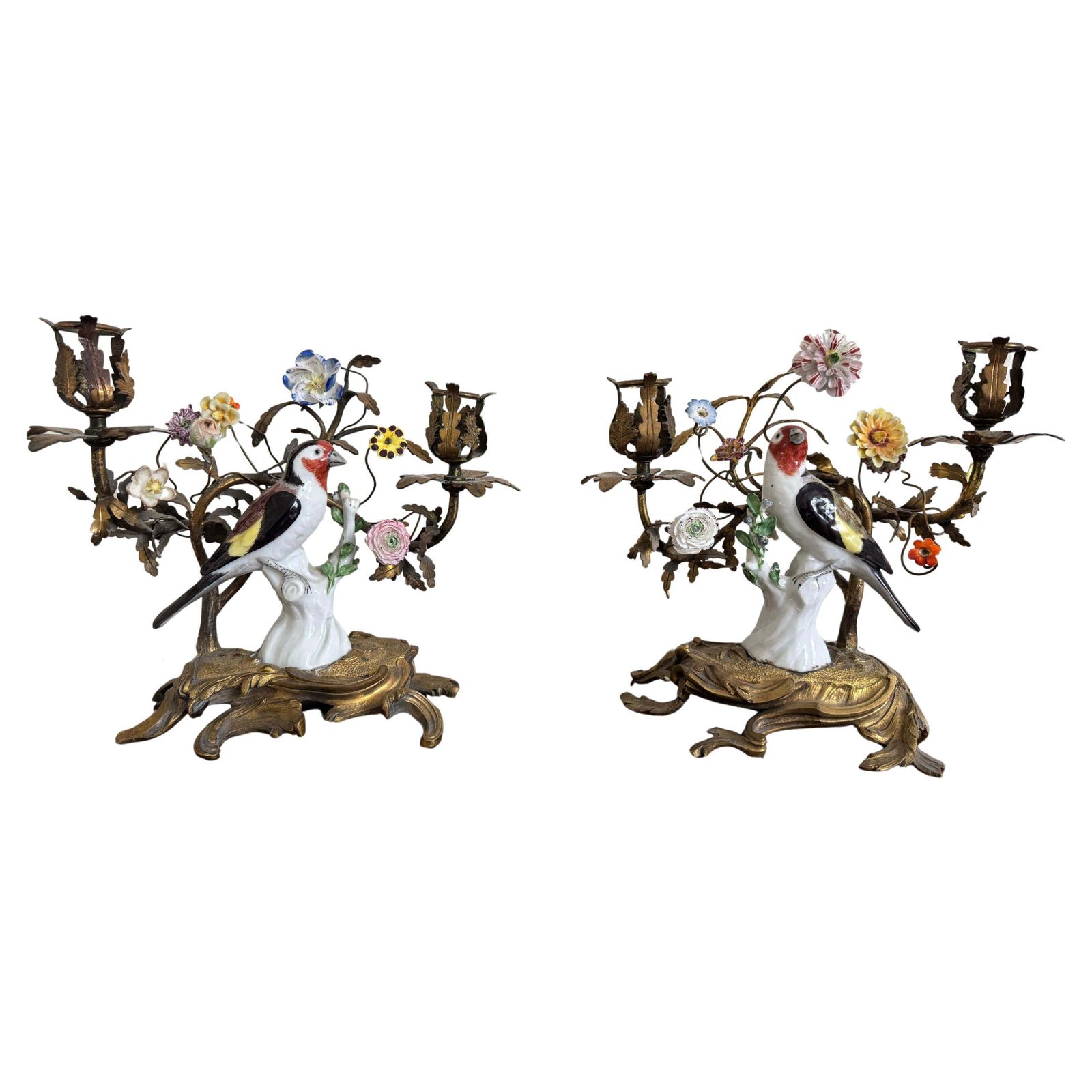 19th Century Pair Of Porcelain Birds In Ormolu Candelabra