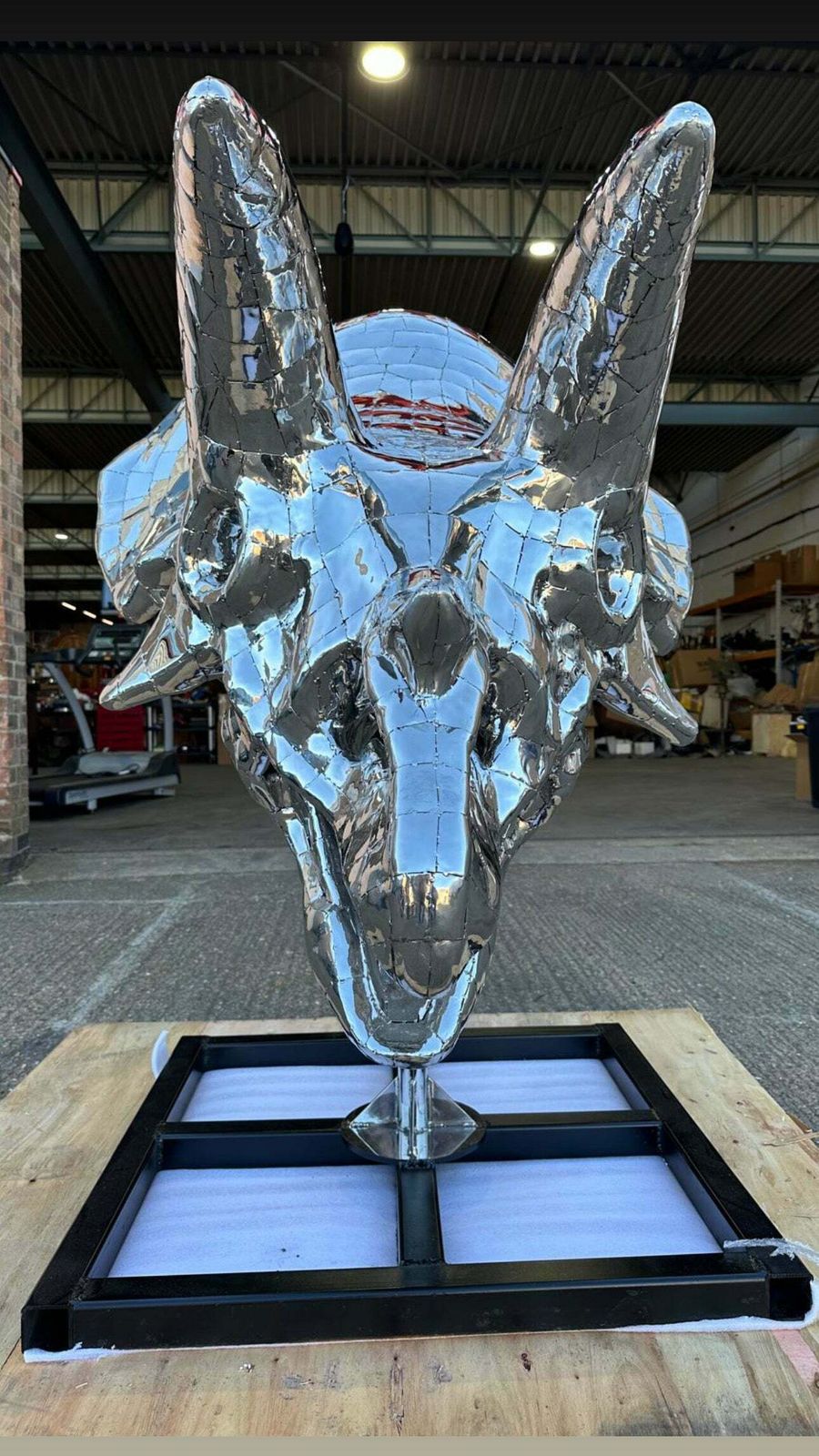 “Art Paris” Sculpture, One Of A Kind, Triceratops Skull photo for sale