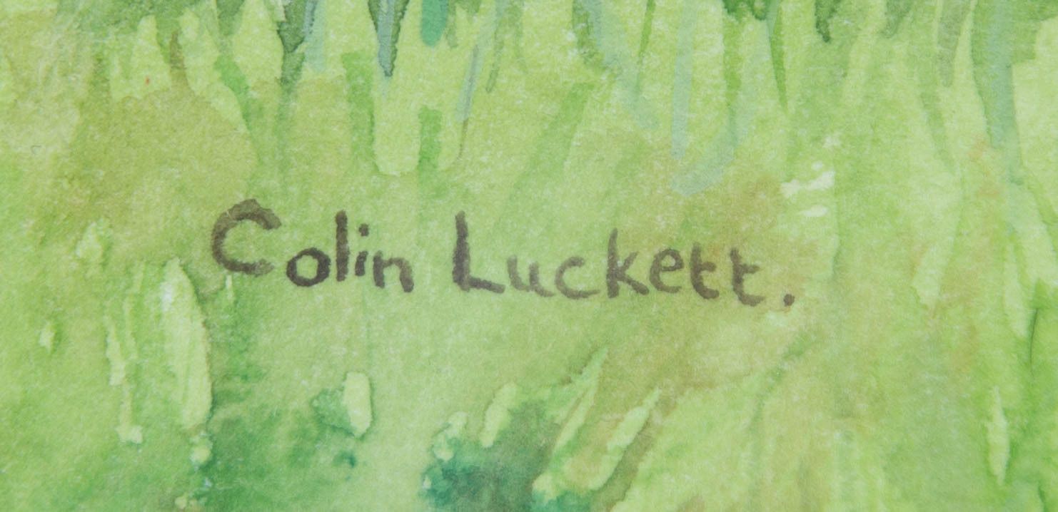 Colin Luckett   Signed & Framed 2009 Watercolour, Lady In Pink photo 160.0
