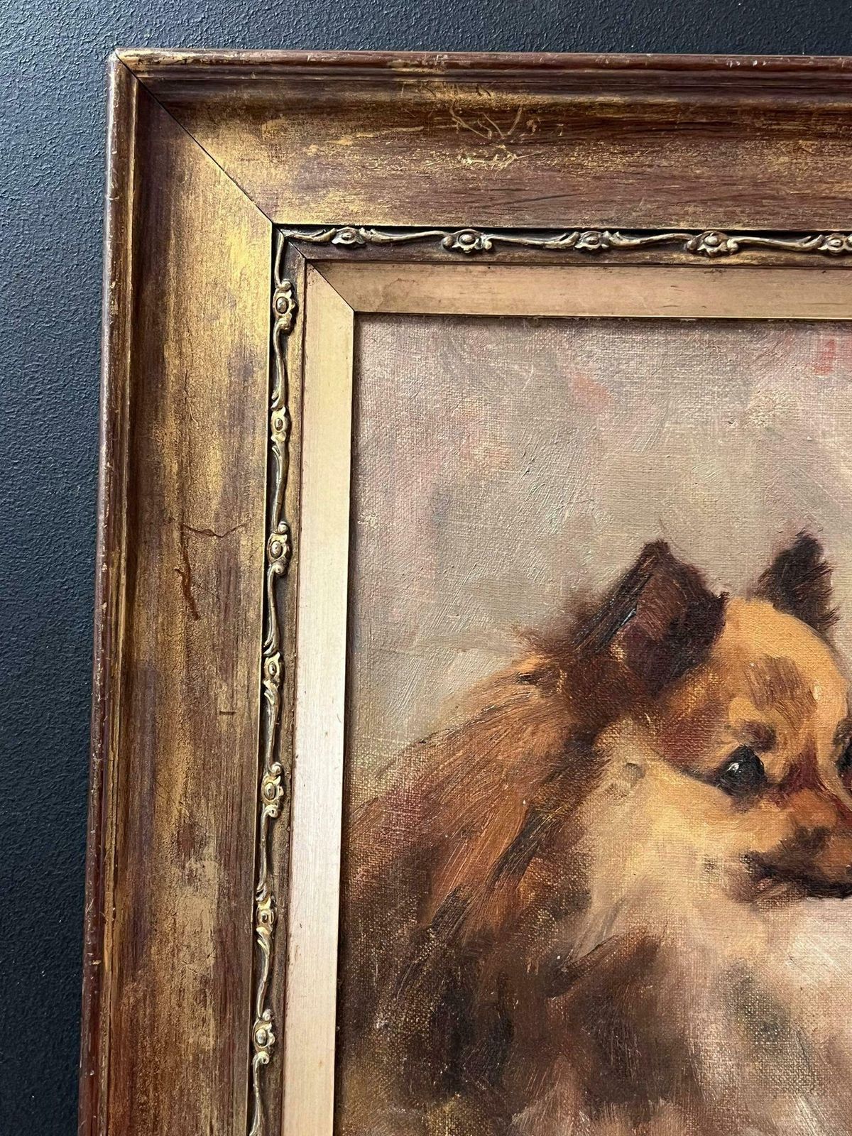 English Dog Artistantique English Oil Painting Portrait Of Pomeranian Dog 19th Century Framed19th Century photo Art
