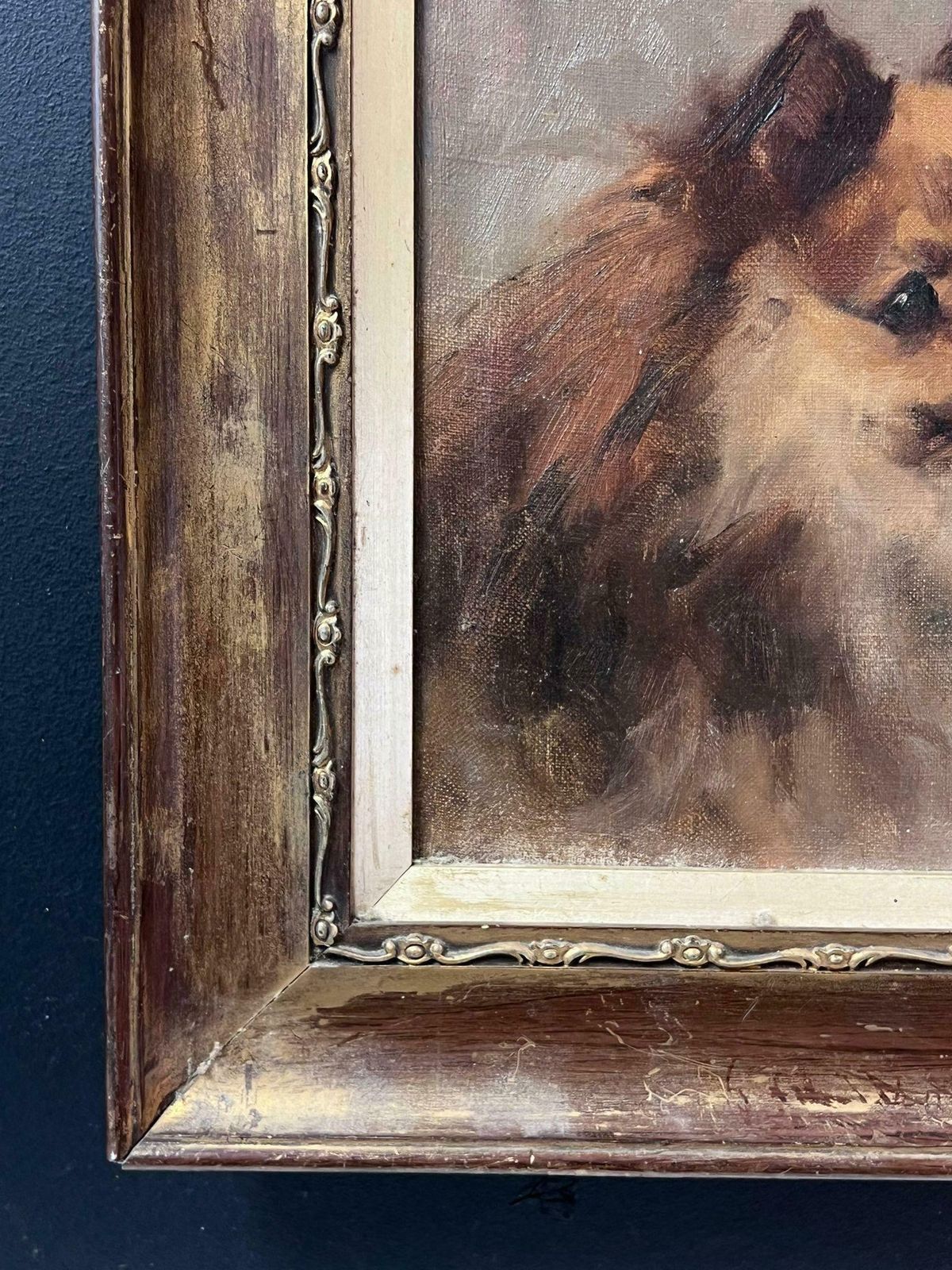 English Dog Artistantique English Oil Painting Portrait Of Pomeranian Dog 19th Century Framed19th Century photo vinterior