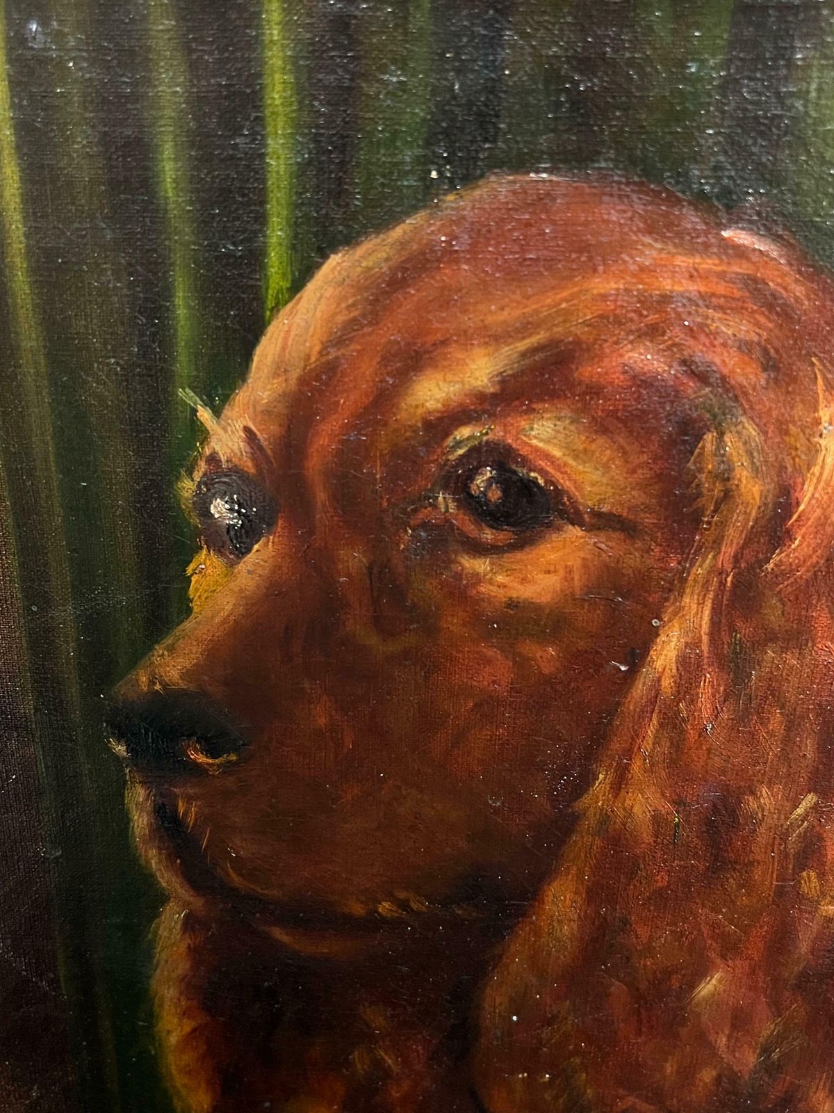 English School20th Century Portrait Of A Red Setter/ Spaniel Dog Oil Painting20th Century photo for sale