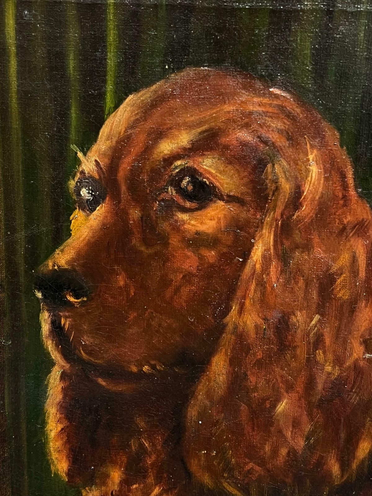English School20th Century Portrait Of A Red Setter/ Spaniel Dog Oil Painting20th Century photo vinterior