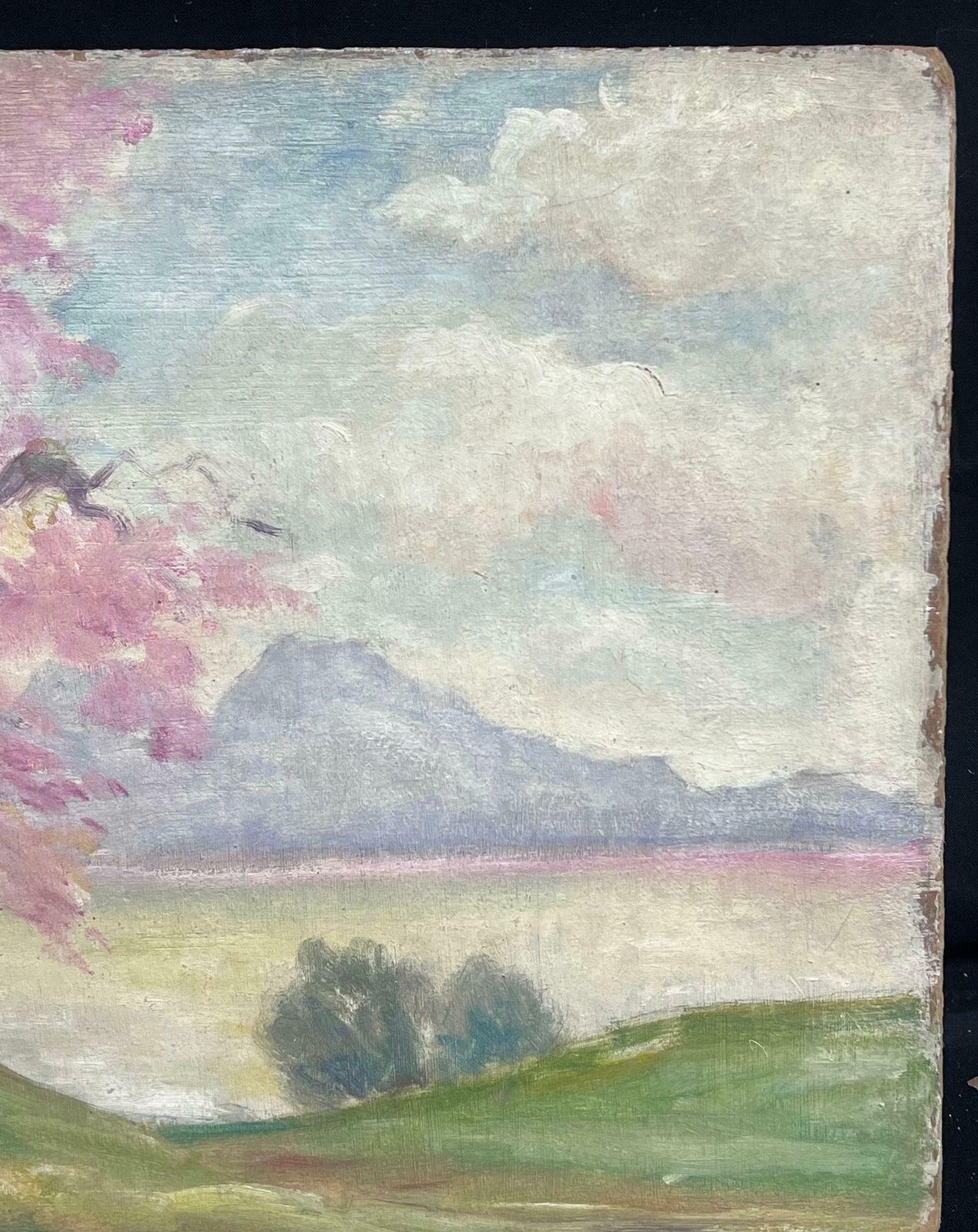 Regine Davidbathers By French Lake Pink Blossom Trees 1950's French Post Impressionist Oil 1950's photo for sale